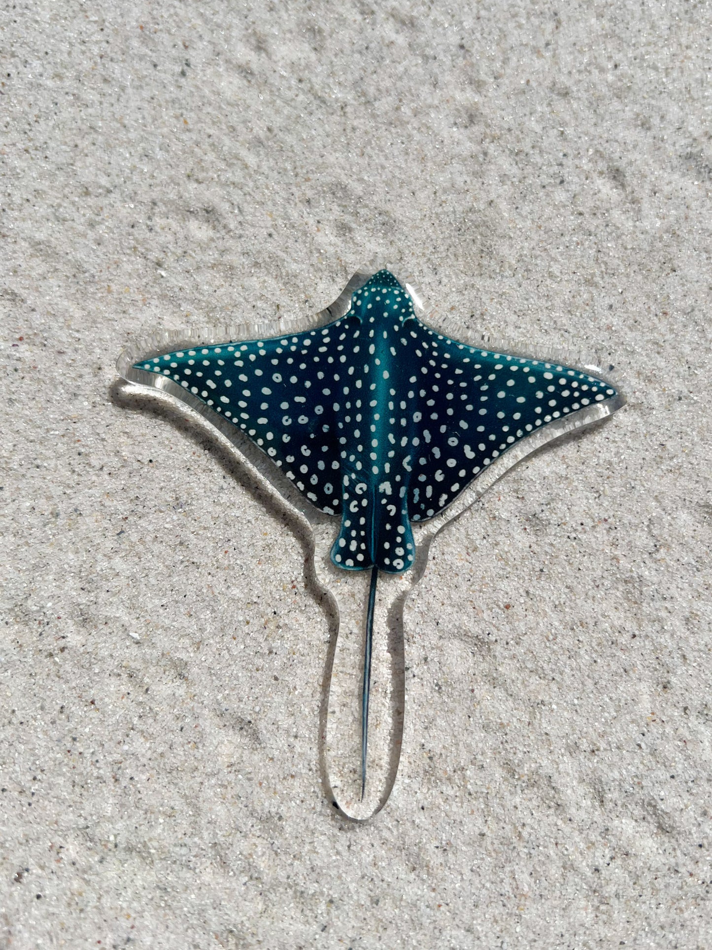 EAGLE RAY FRIDGE MAGNET