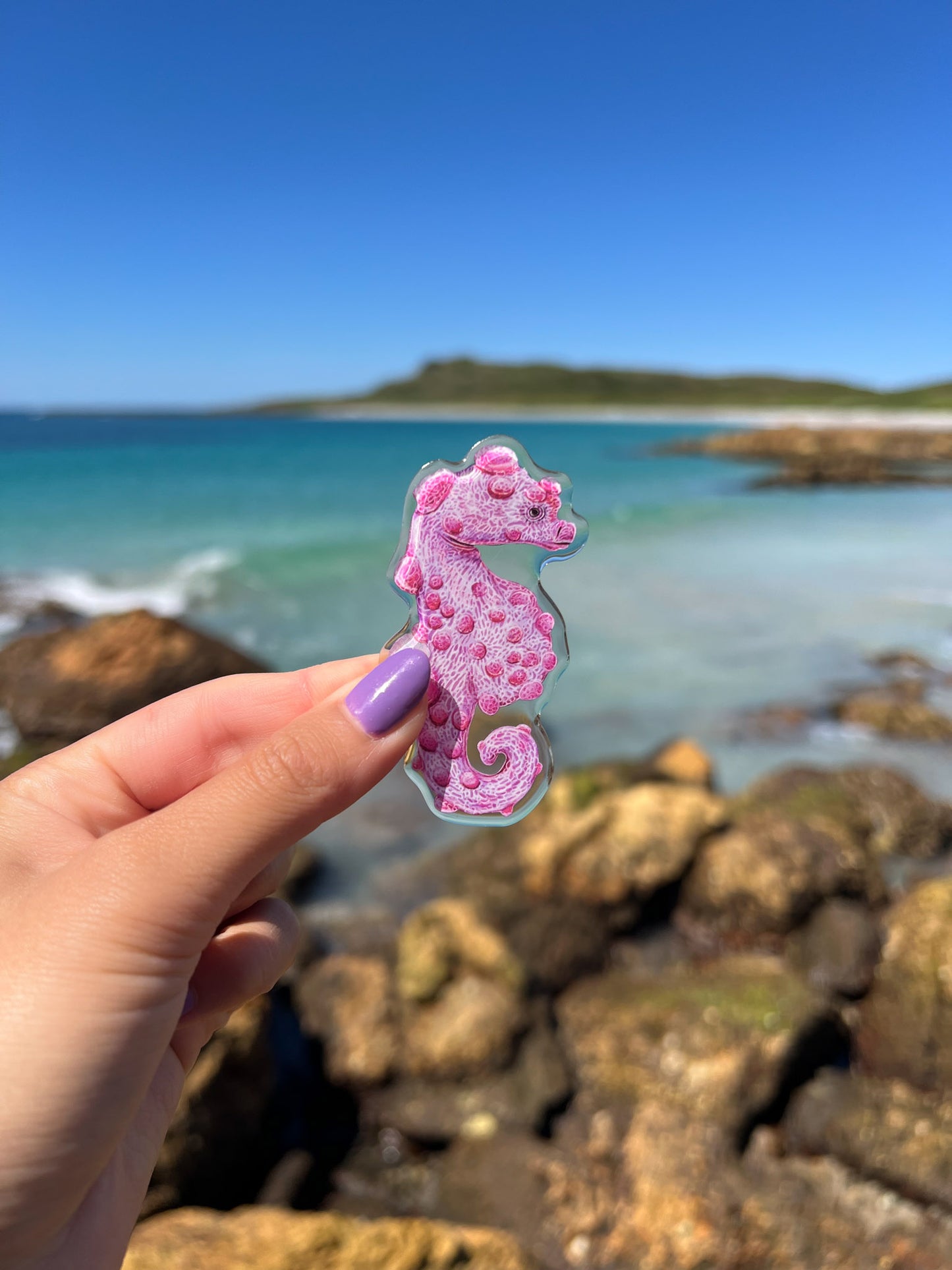 PYGMY SEAHORSE FRIDGE MAGNET