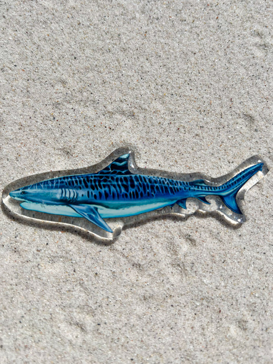 TIGER SHARK FRIDGE MAGNET
