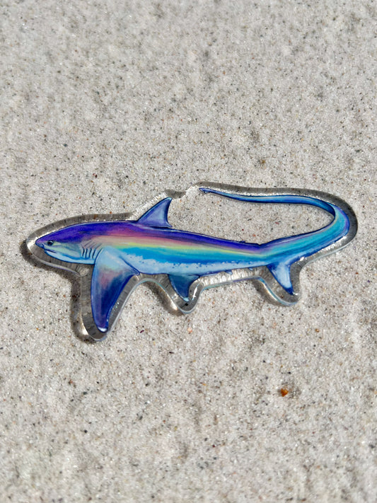 THRESHER SHARK FRIDGE MAGNET