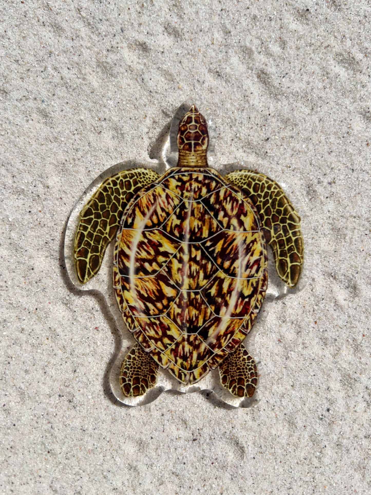 HAWKSBILL TURTLE FRIDGE MAGNET