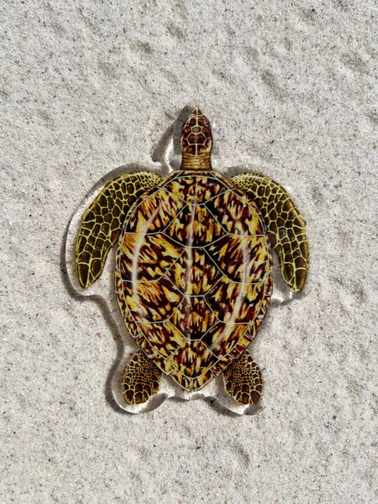 HAWKSBILL TURTLE FRIDGE MAGNET