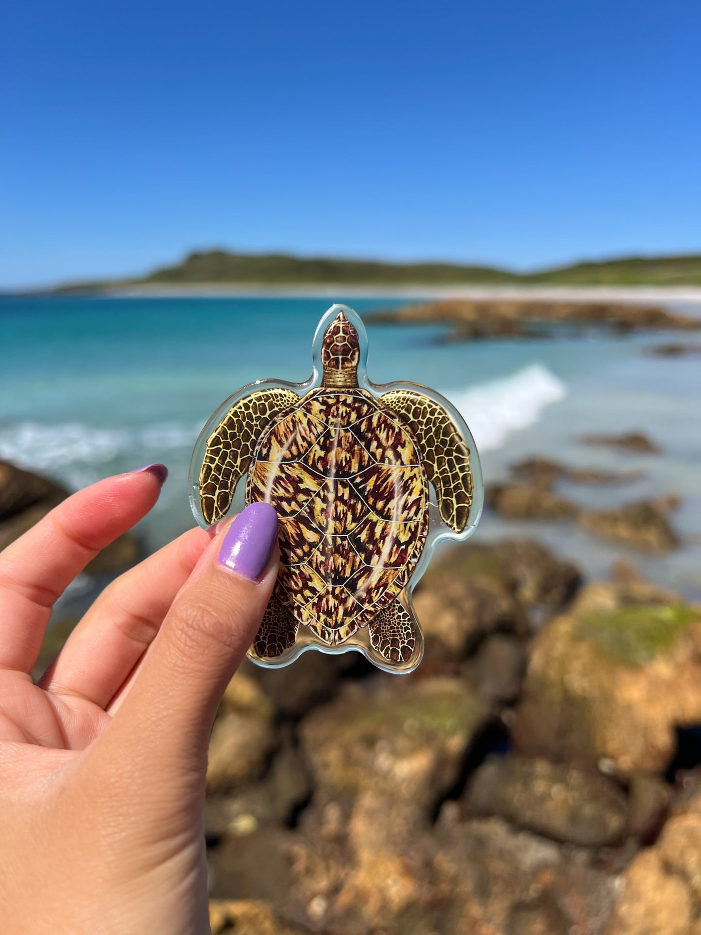 HAWKSBILL TURTLE FRIDGE MAGNET