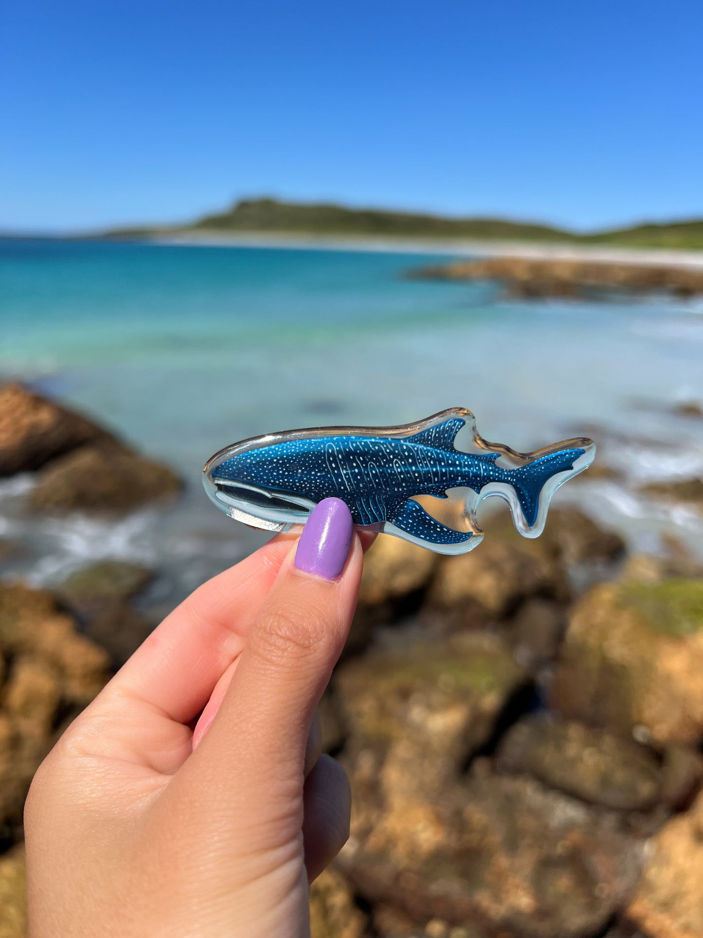 WHALE SHARK FRIDGE MAGNET