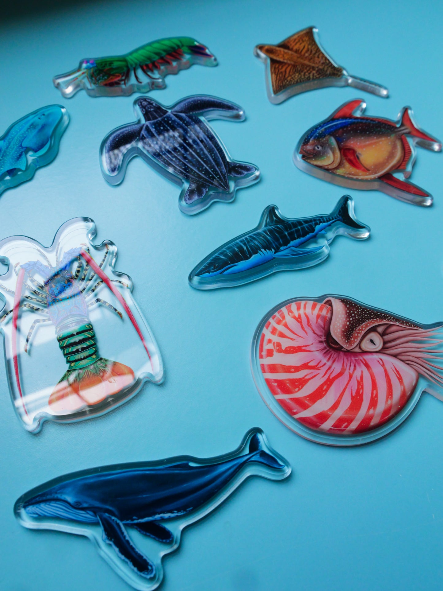 Collection of Divermon Art fridge magnets ocean marine life design