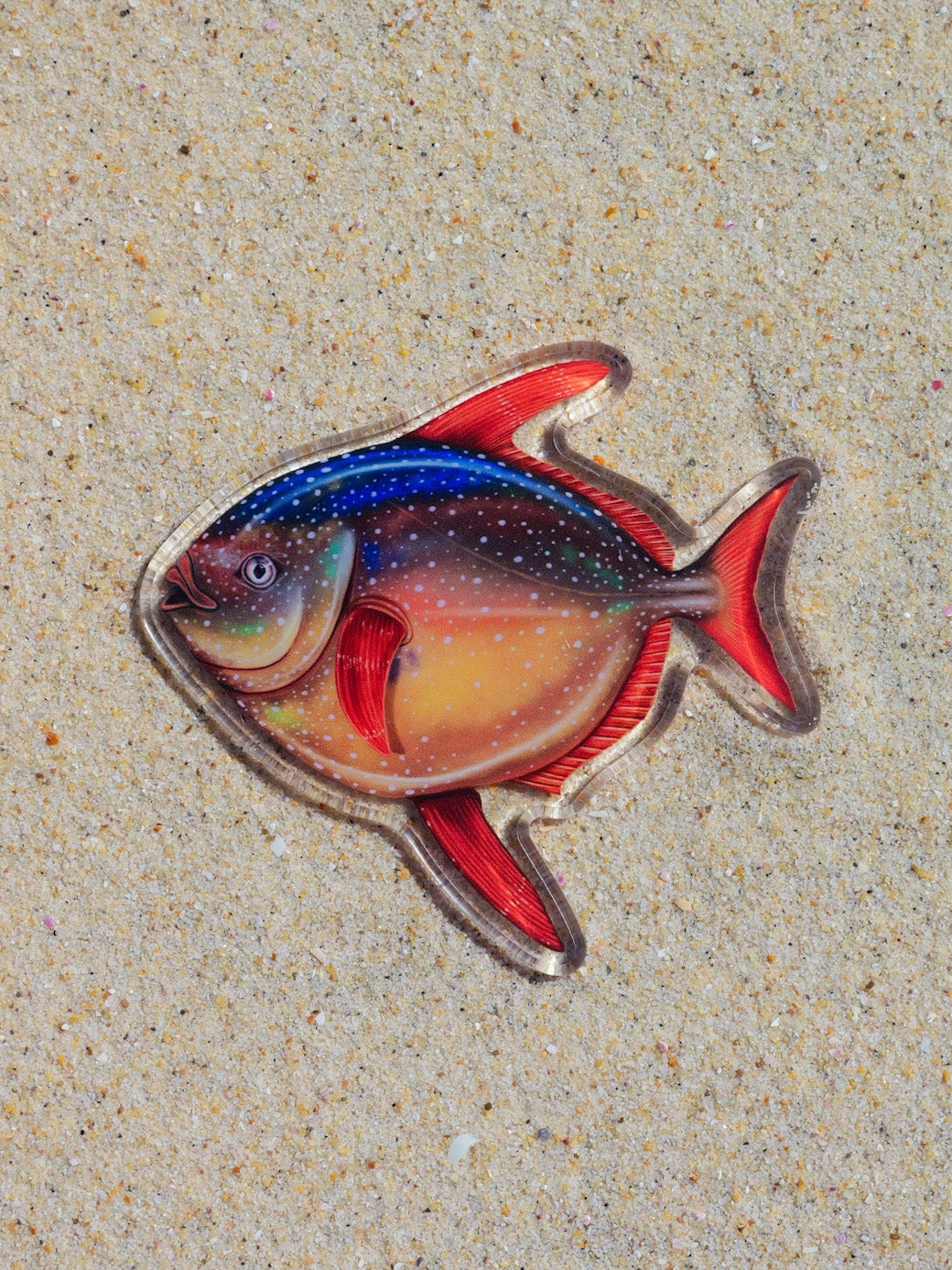 Moonfish fridge magnet by Divermon Art featuring marine life artwork
