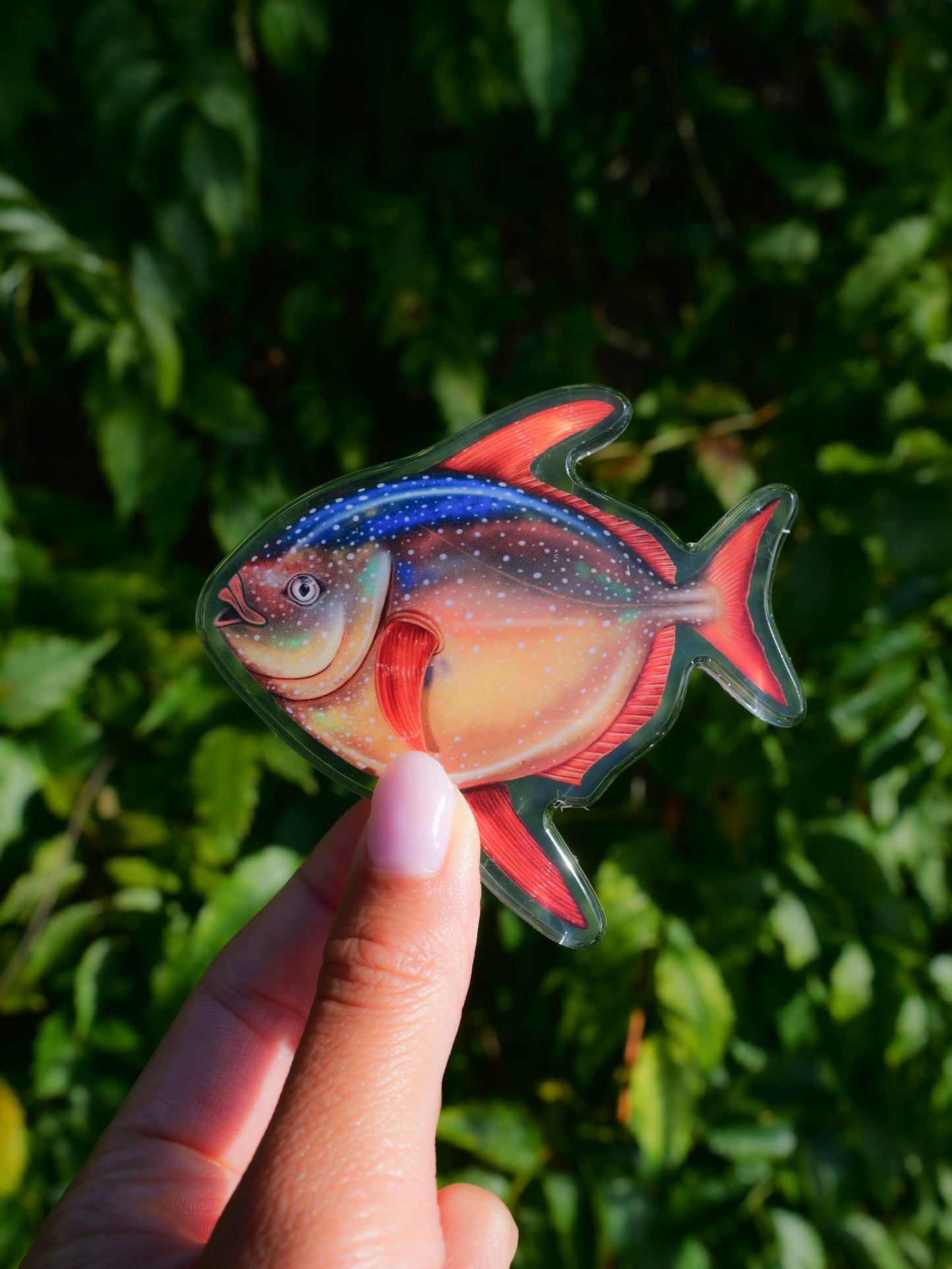 Collection of Divermon Art fridge magnets ocean marine life design