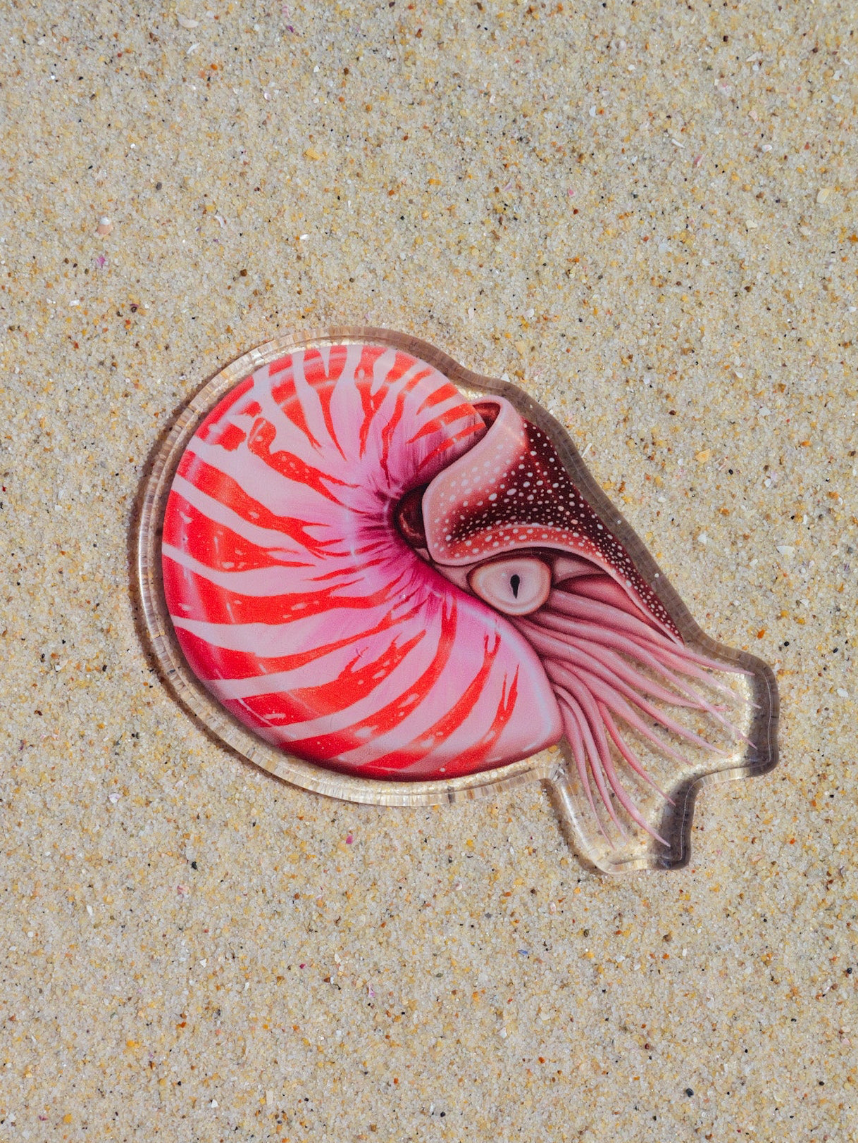 Nautilus fridge magnet by Divermon Art featuring marine life artwork
