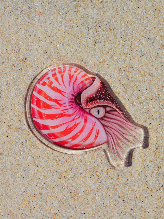 NAUTILUS FRIDGE MAGNET