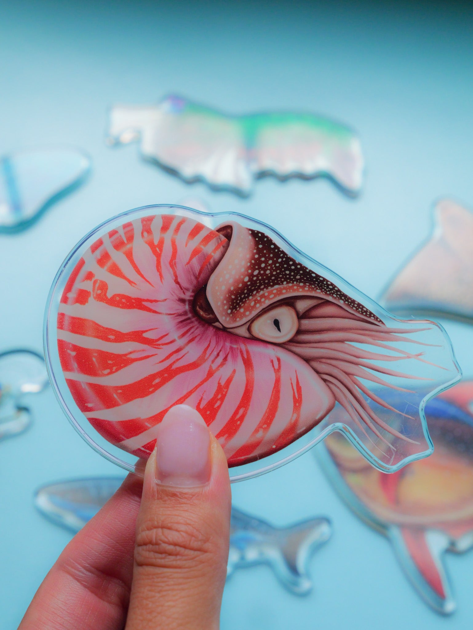 Nautilus magnet detail close up Divermon Art ocean design