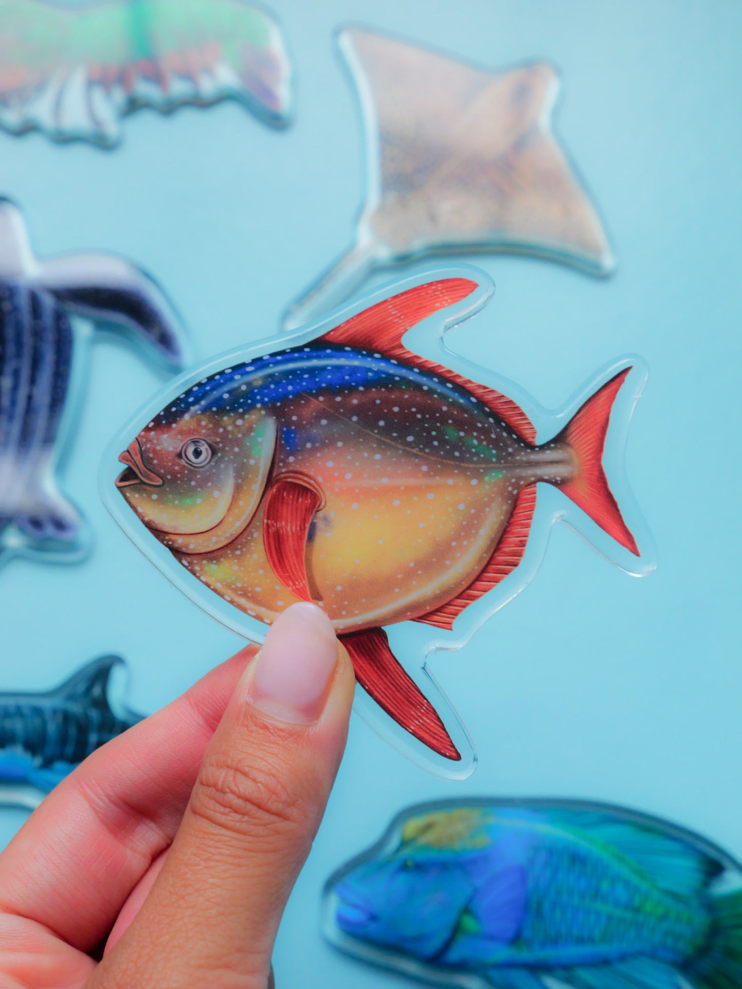 Moonfish magnet detail close up Divermon Art ocean design