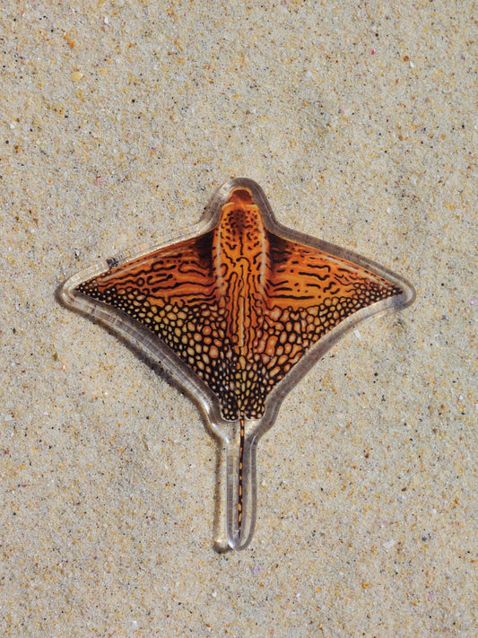 ORNATE EAGLE RAY FRIDGE MAGNET