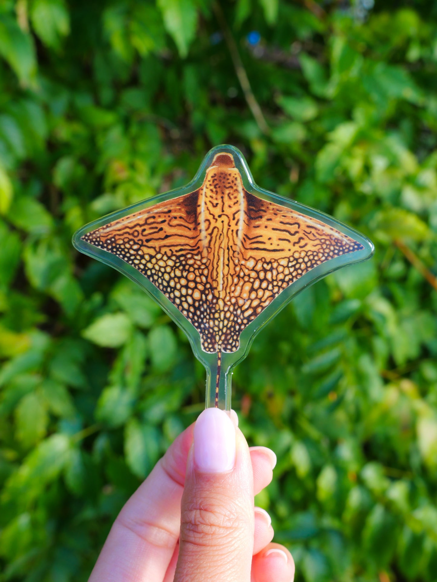 ORNATE EAGLE RAY FRIDGE MAGNET