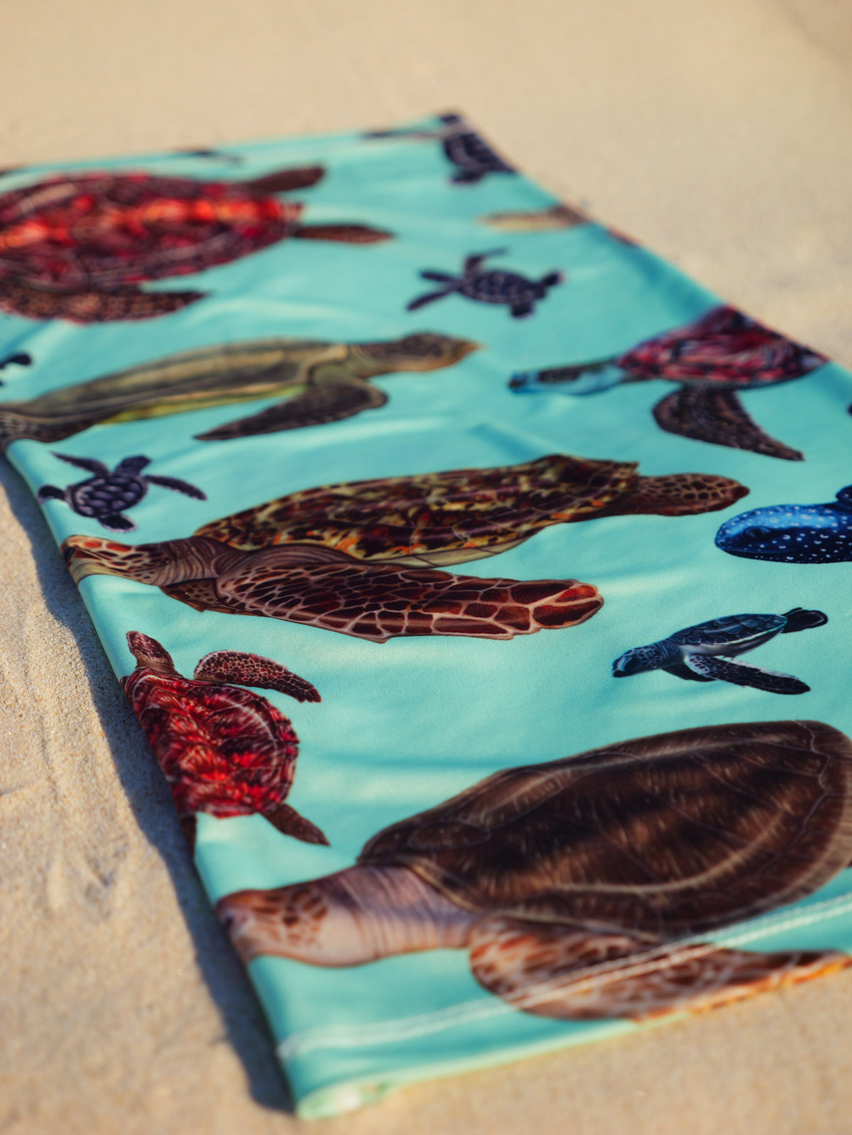 Big turtles green UV gaiter buff design shown laid out bottom left corner close up in great detail sand background made from recycled polyester-spandex ocean illustration by Diver Mon Art 