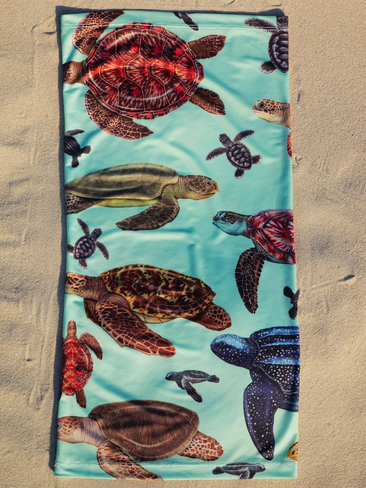 Big turtles green UV gaiter buff design shown laid out full length close up in great detail sand background made from recycled polyester-spandex ocean illustration by Diver Mon Art 