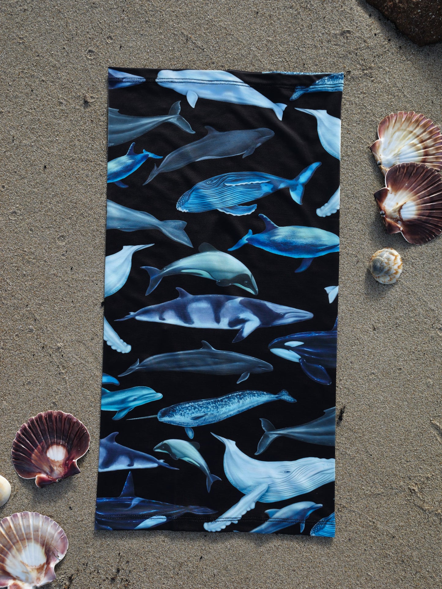 Cetaceans black UV gaiter buff design shown laid out full length in great detail shells sand background made from recycled polyester-spandex ocean illustration by Diver Mon Art