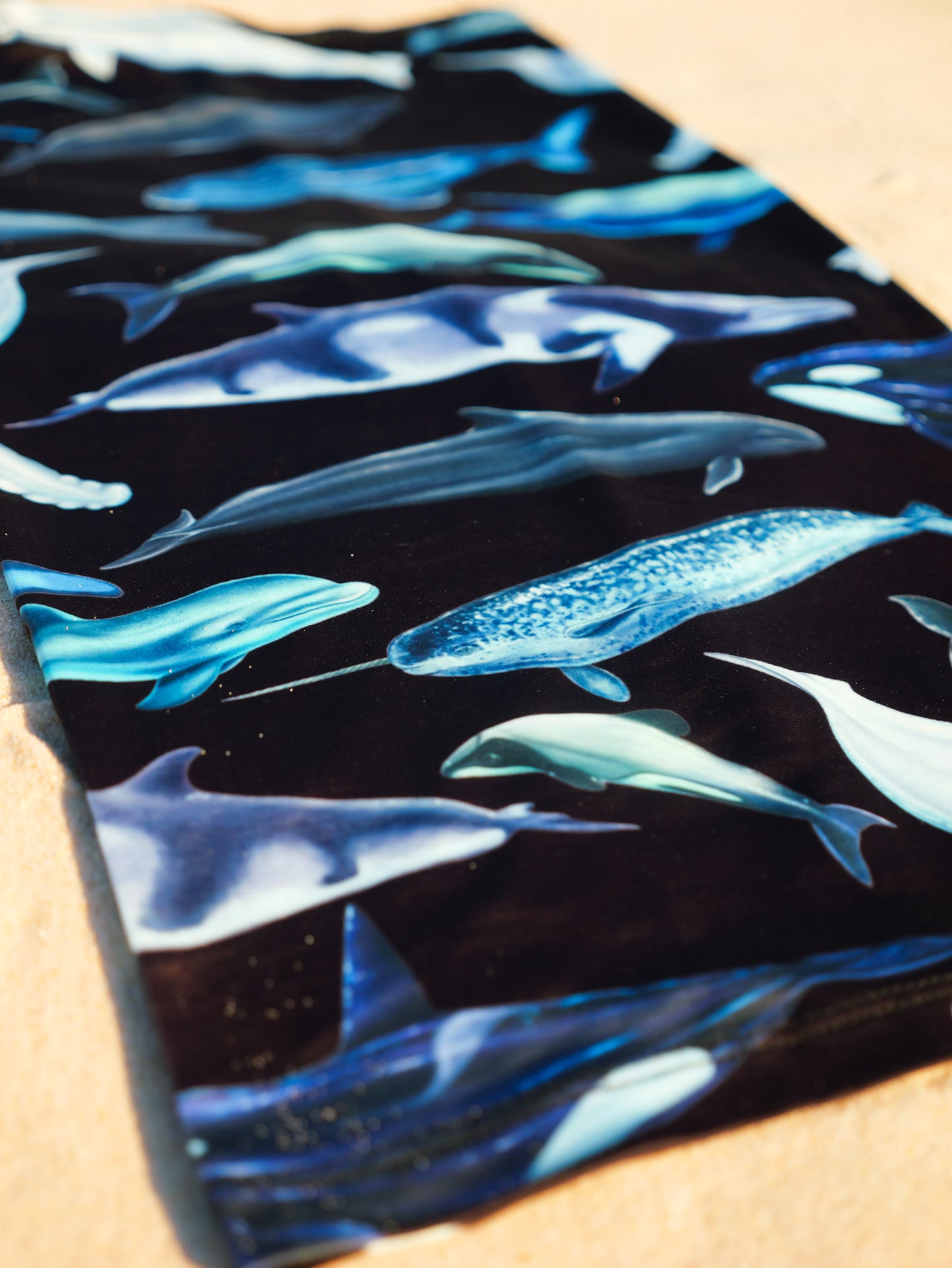 Cetaceans black UV gaiter buff design shown laid out close up in great detail sand background made from recycled polyester-spandex ocean illustration by Diver Mon Art 