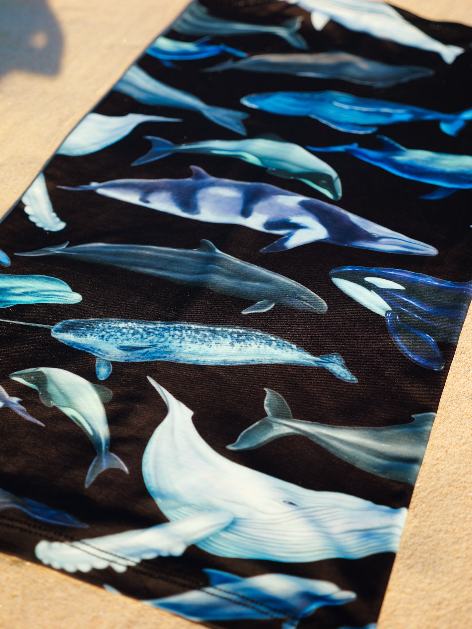 Cetaceans black UV gaiter buff design shown close up in great detail sand background made from recycled polyester-spandex ocean illustration by Diver Mon Art 