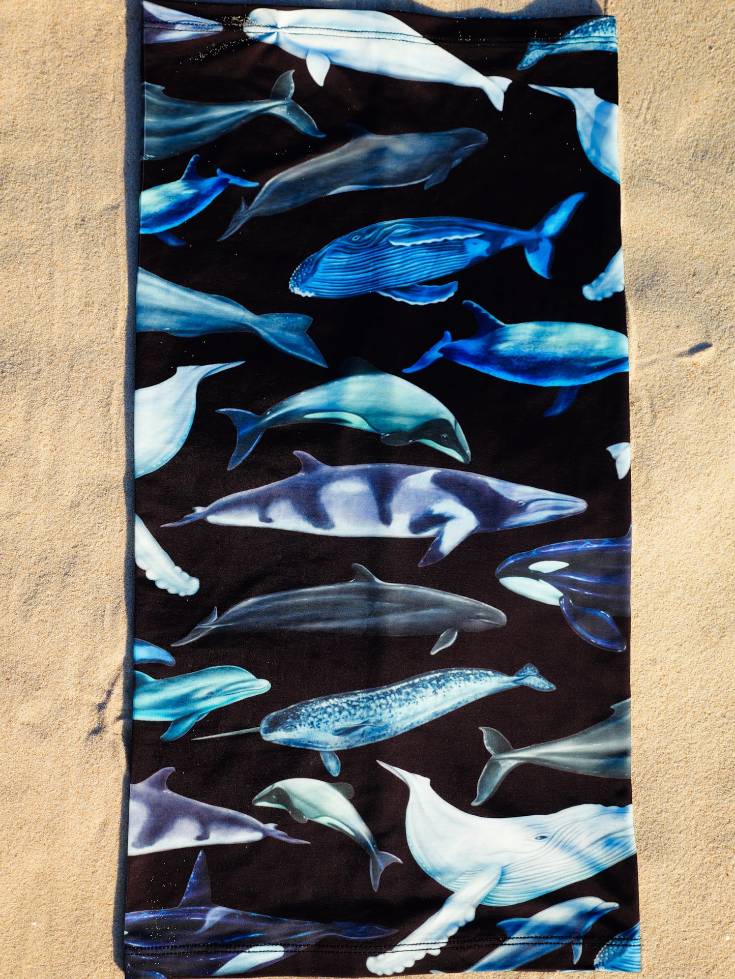 Cetaceans black UV gaiter buff design shown laid out full length close up in great detail sand background made from recycled polyester-spandex ocean illustration by Diver Mon Art 