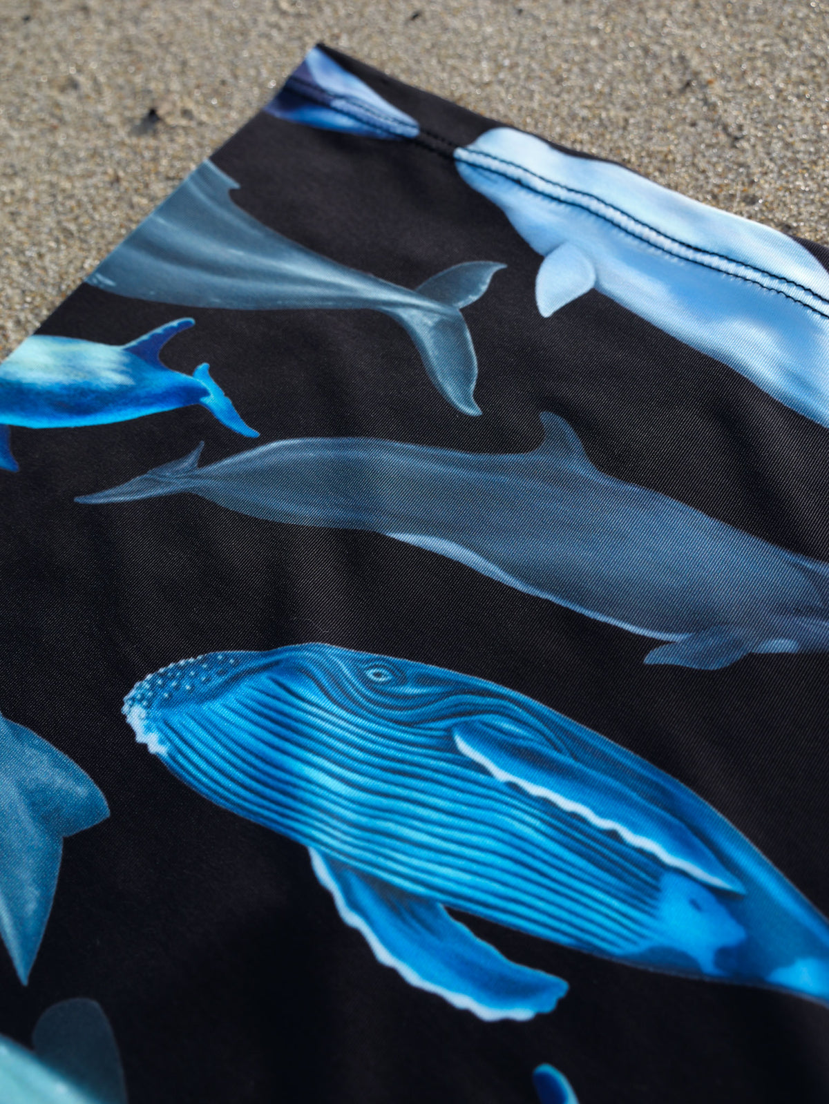 Cetaceans black UV gaiter buff design shown top left corner close up in great detail sand background made from recycled polyester-spandex ocean illustration by Diver Mon Art 