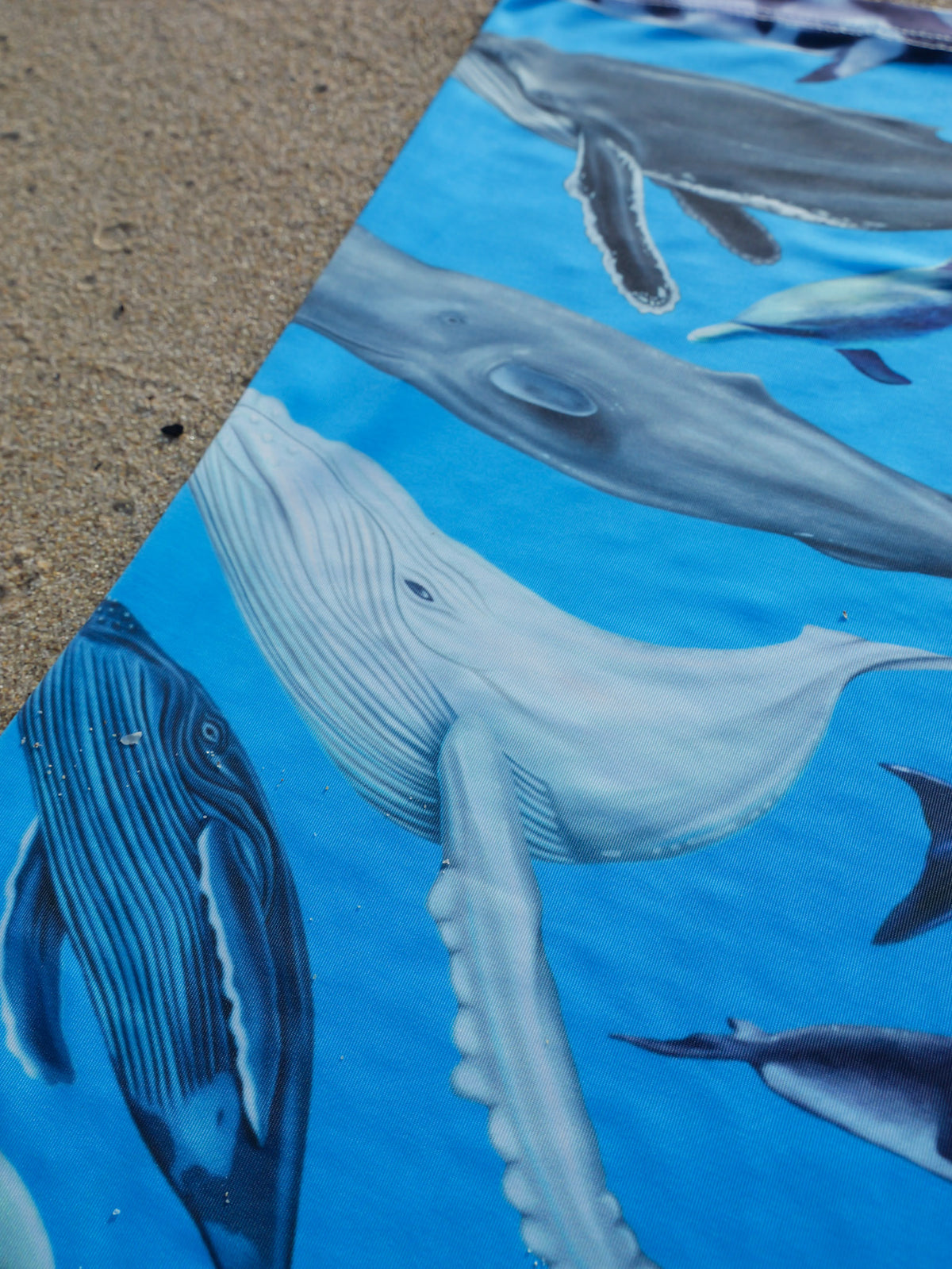 Cetaceans blue UV gaiter buff design shown close up in great detail sand background made from recycled polyester-spandex ocean illustration by Diver Mon Art 