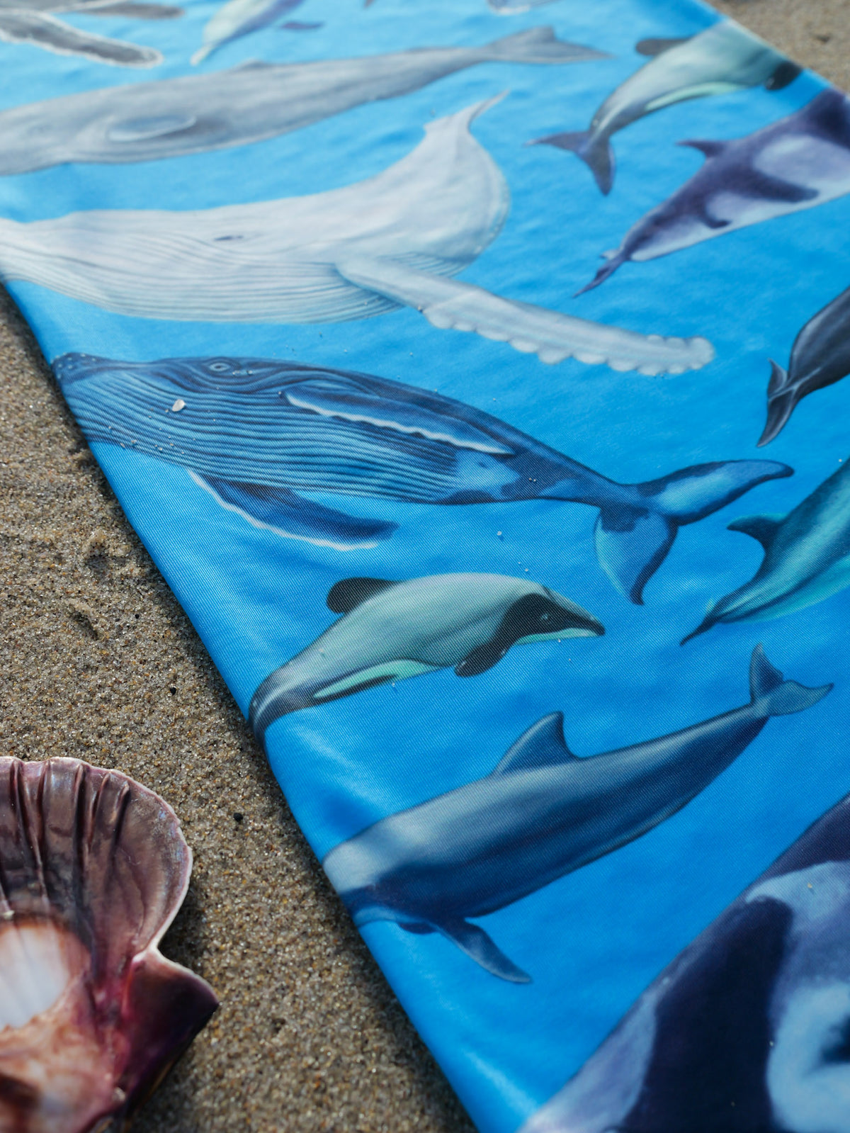 Cetaceans blue UV gaiter buff design shown close up in great detail sand shell background made from recycled polyester-spandex ocean illustration by Diver Mon Art 