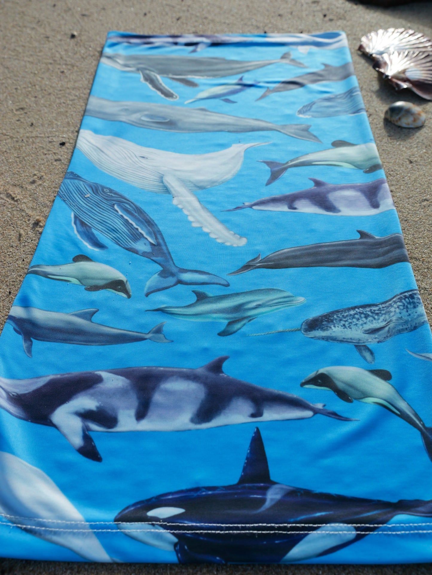 Cetaceans blue UV gaiter buff design shown close up in great detail laid out sand background made from recycled polyester-spandex ocean illustration by Diver Mon Art 