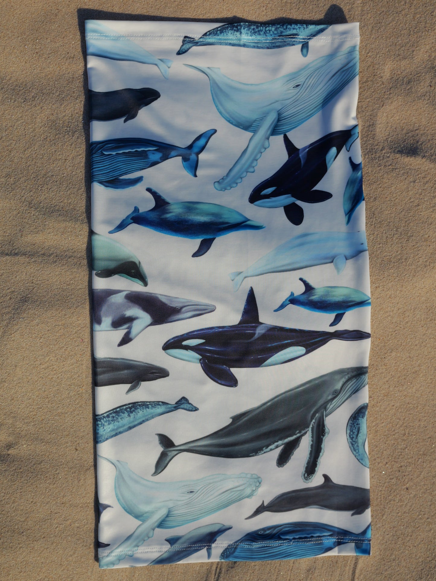 Cetaceans white UV gaiter buff design shown full length close up in great detail sand background made from recycled polyester-spandex ocean illustration by Diver Mon Art 