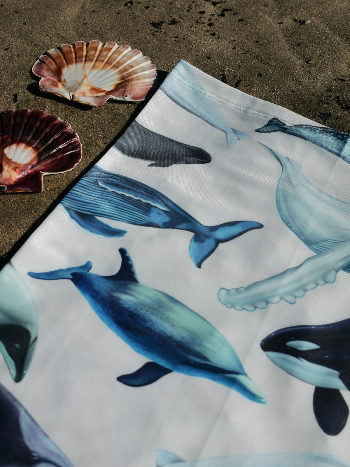 Cetaceans white UV gaiter buff design shown top left corner close up in great detail sand shell background made from recycled polyester-spandex ocean illustration by Diver Mon Art 