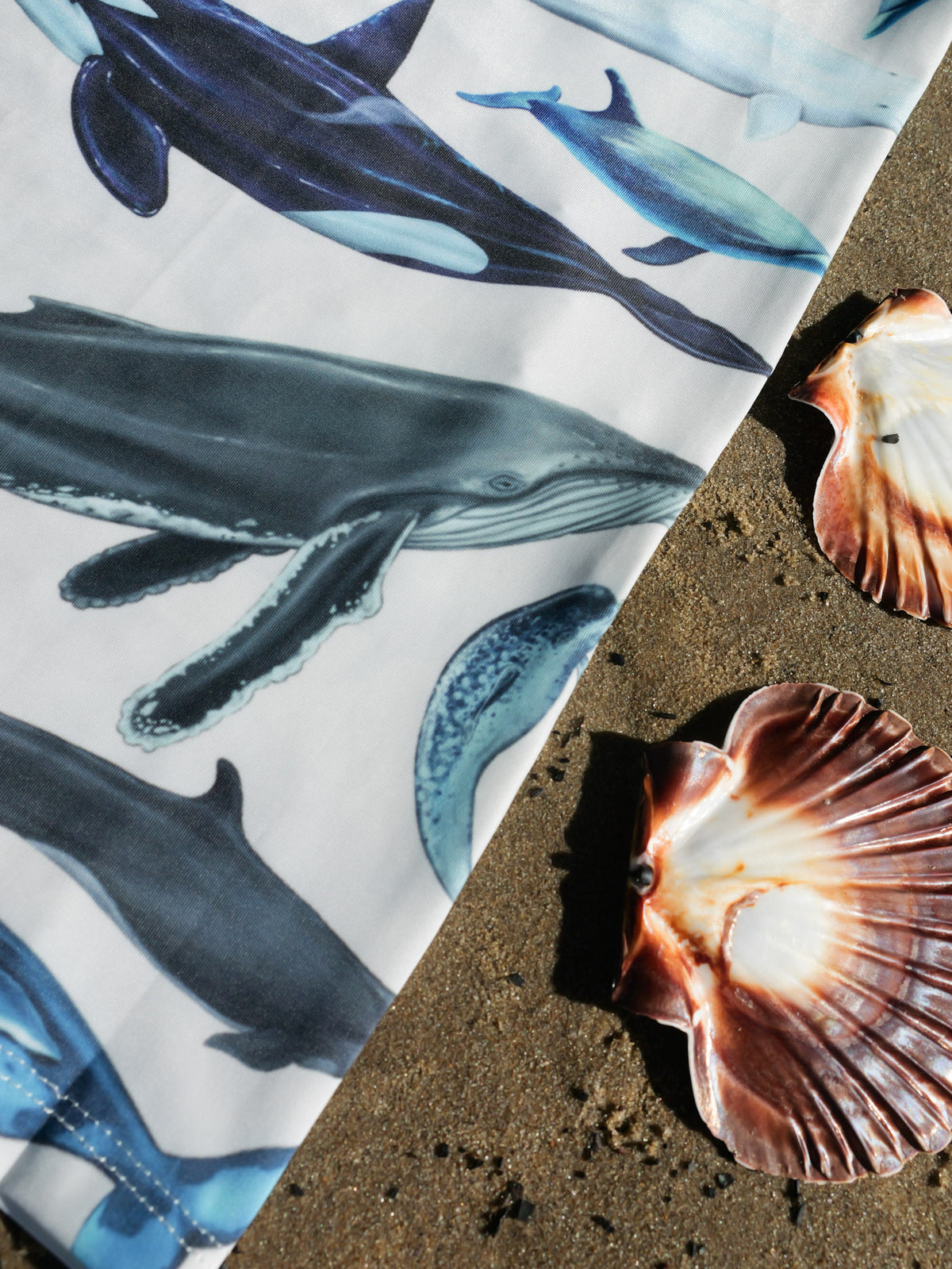 Cetaceans white UV gaiter buff design shown close up in great detail sand shells background made from recycled polyester-spandex ocean illustration by Diver Mon Art 