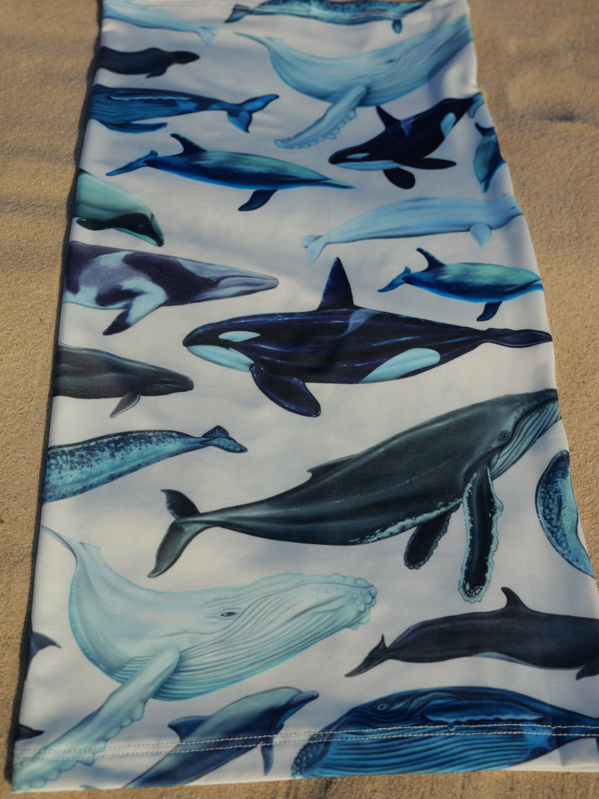 Cetaceans white UV gaiter buff design shown close up in great detail laid out sand background made from recycled polyester-spandex ocean illustration by Diver Mon Art 