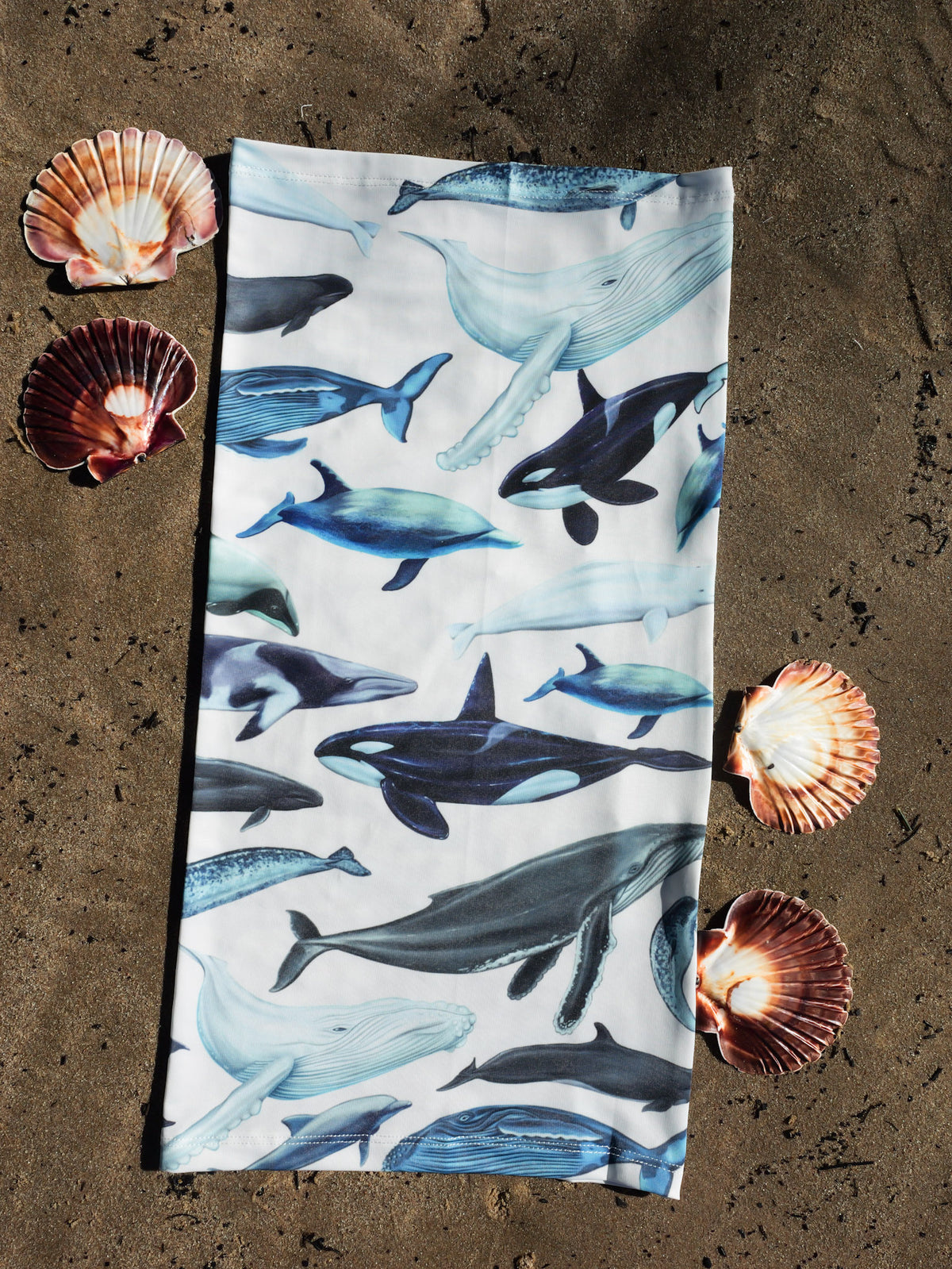 Cetaceans white UV gaiter buff design shown in full in great detail laid out shell sand background made from recycled polyester-spandex ocean illustration by Diver Mon Art 