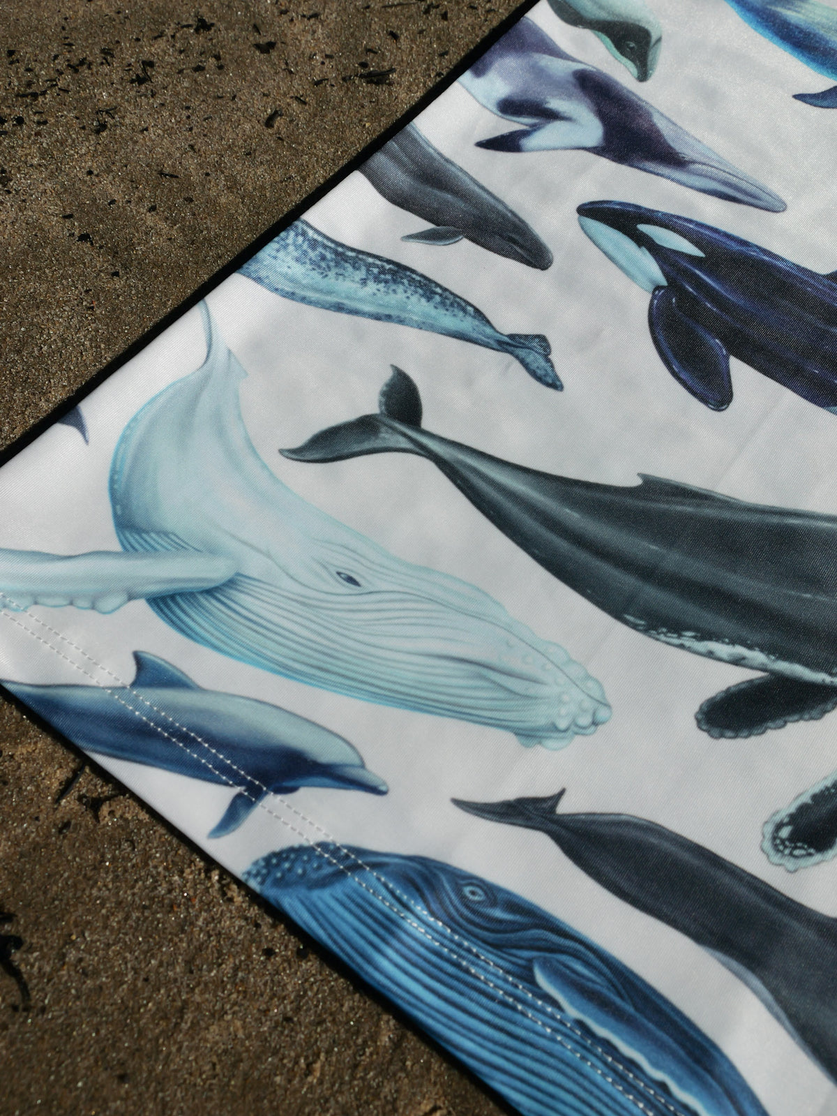 Cetaceans white UV gaiter buff design shown close up in great detail sand background bottom left corner made from recycled polyester-spandex ocean illustration by Diver Mon Art 