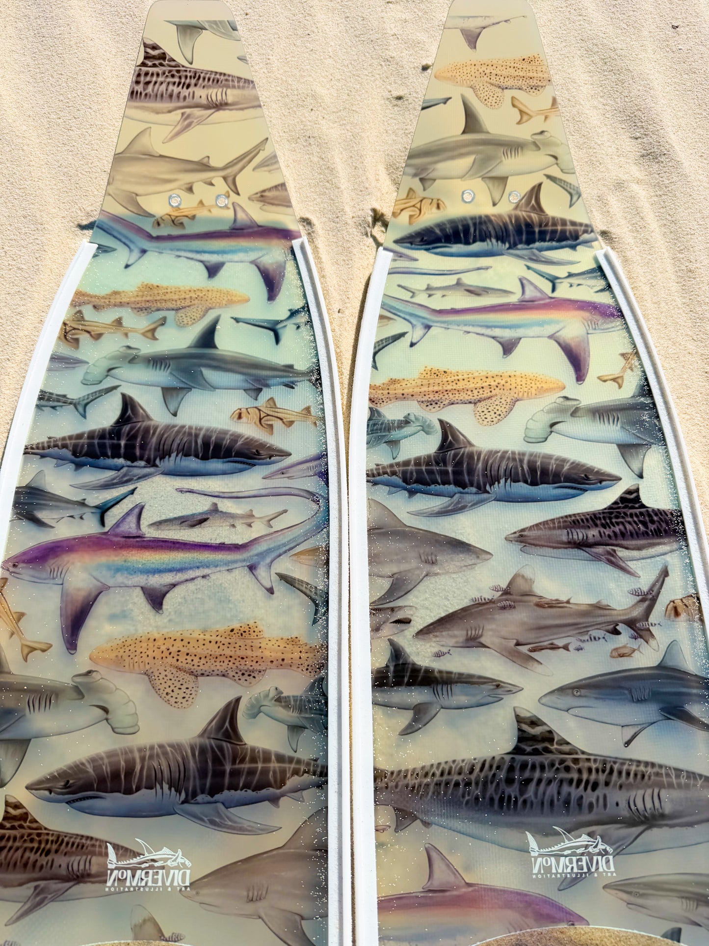 SHORT FINS SHARKS WHITE