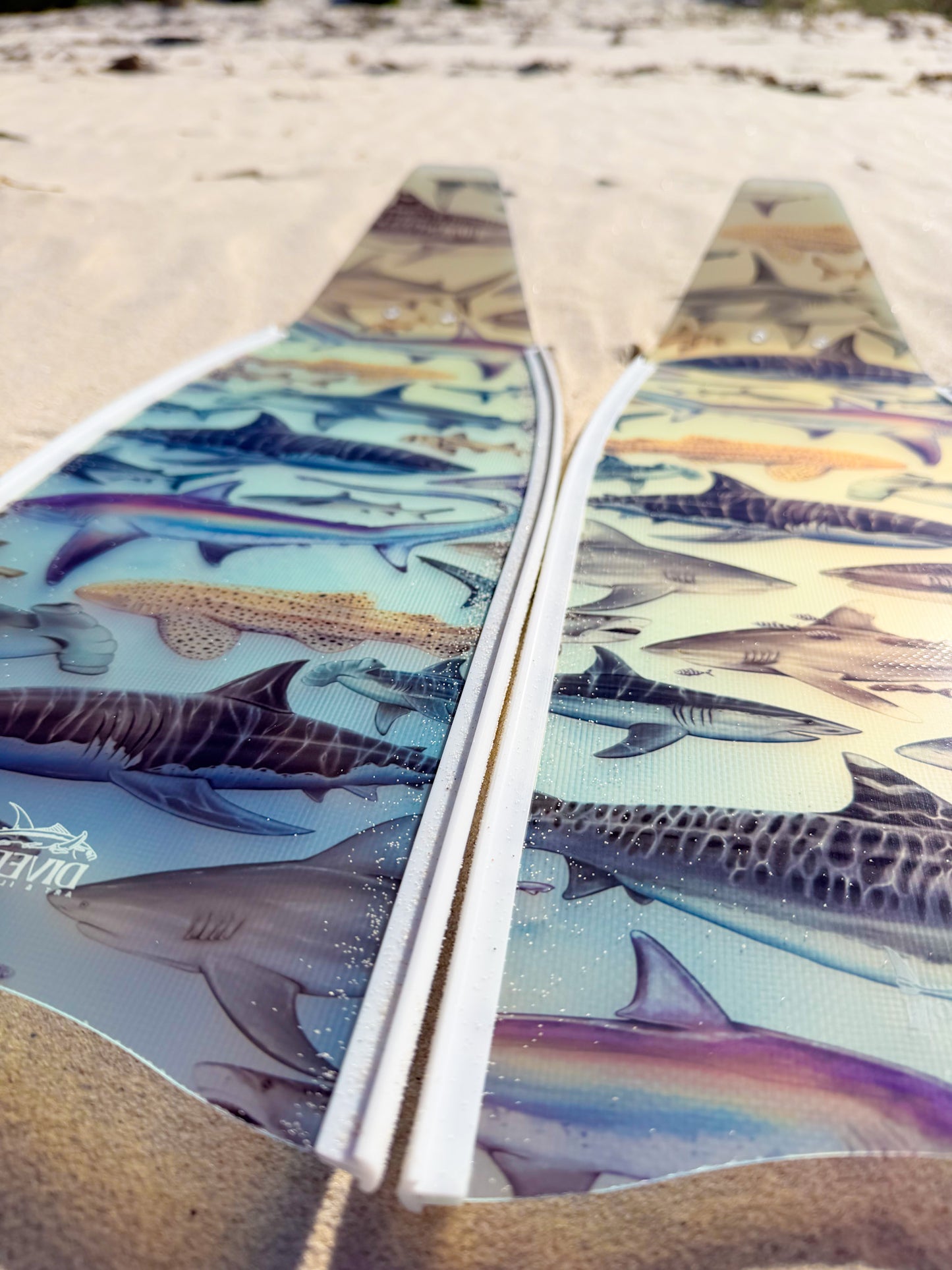 SHORT FINS SHARKS WHITE