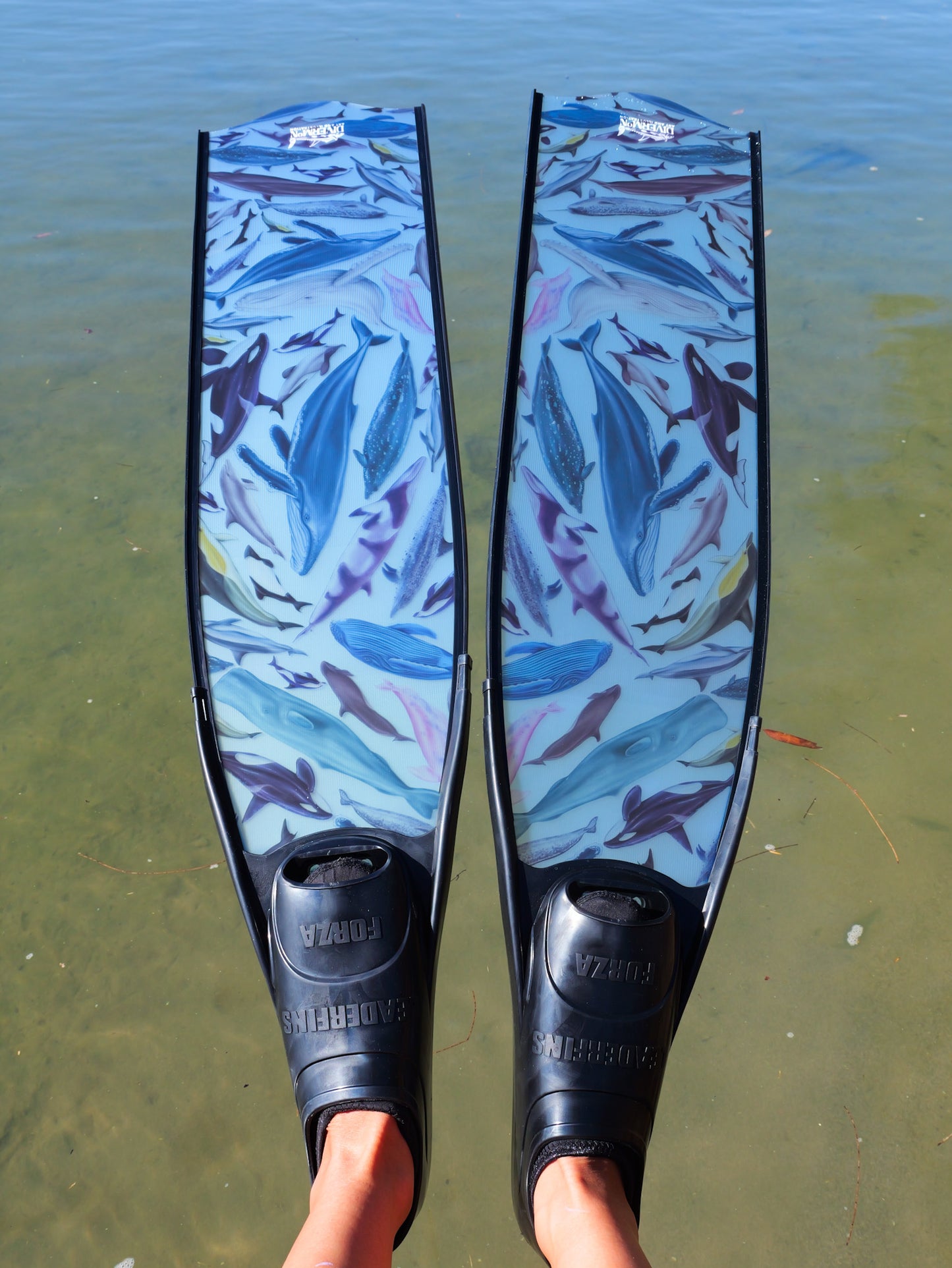 CETACEANS BLACK FREEDIVING FINS