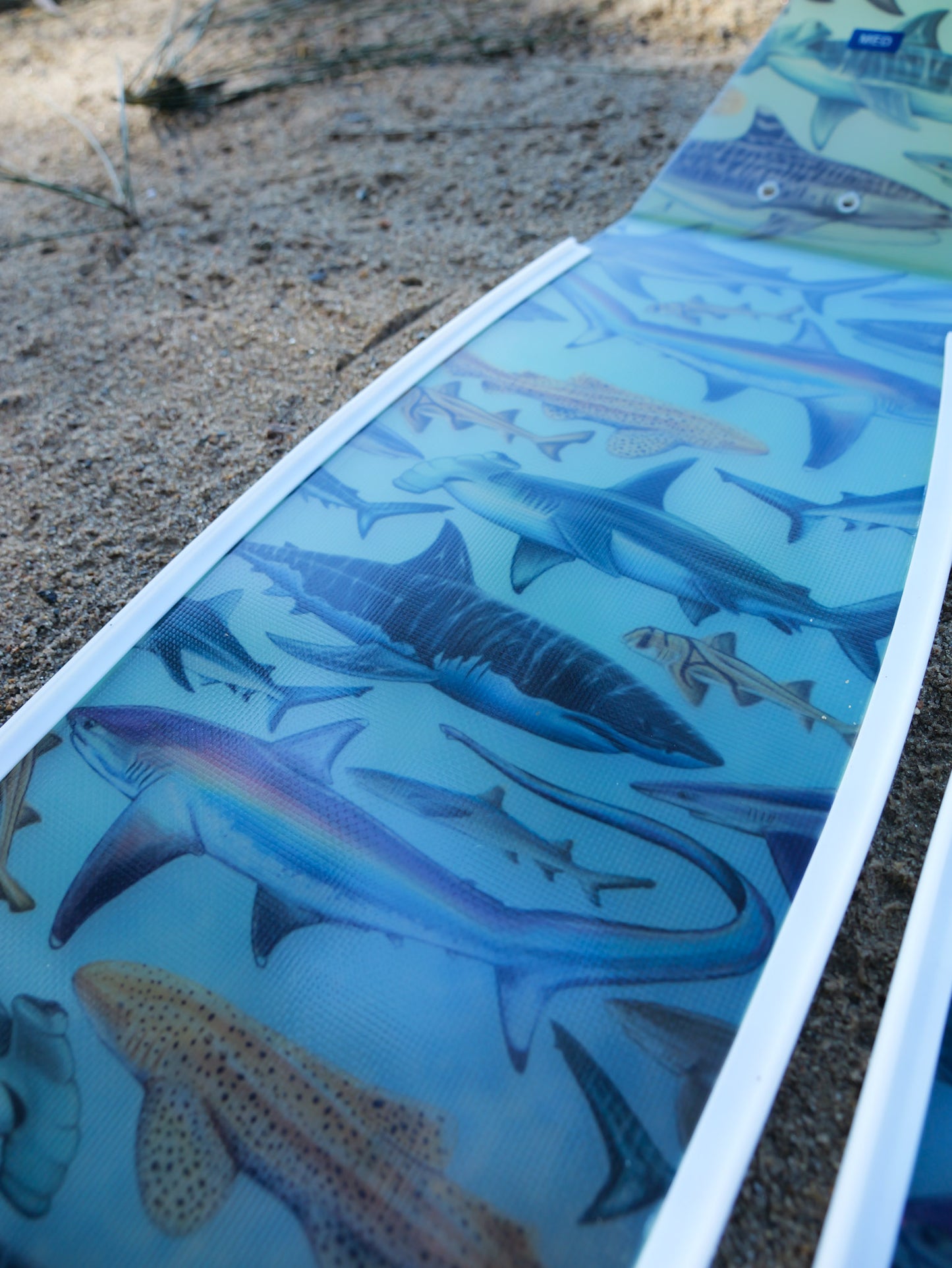 THRESHER WHITE FREEDIVING FINS