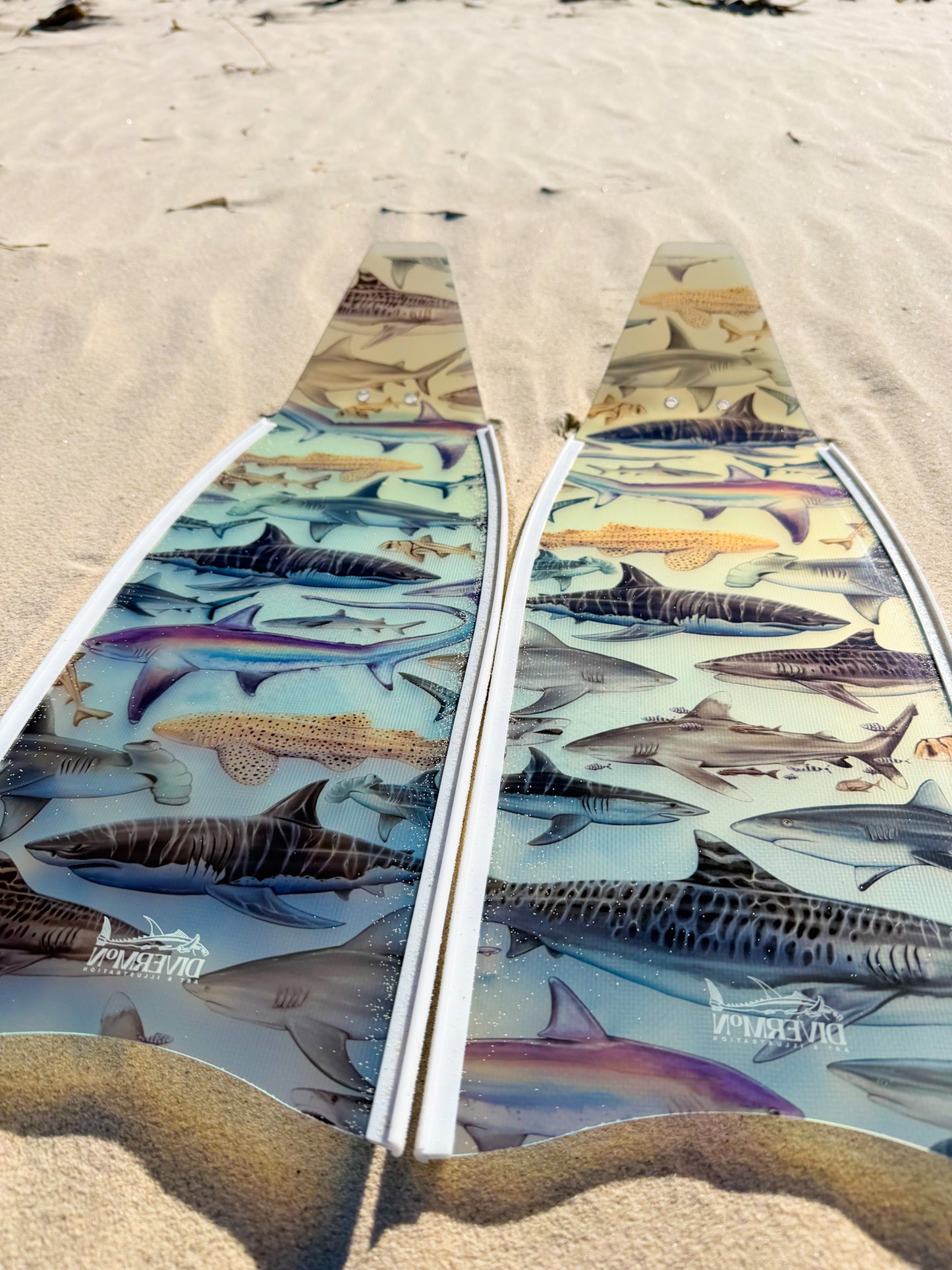 SHORT FINS SHARKS WHITE