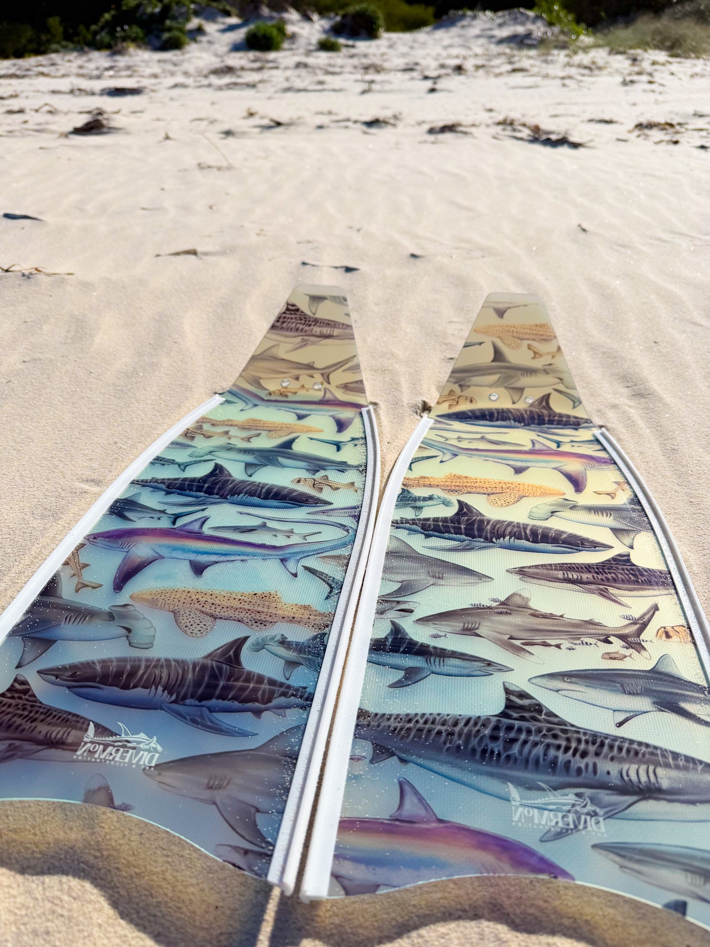 SHORT FINS SHARKS WHITE