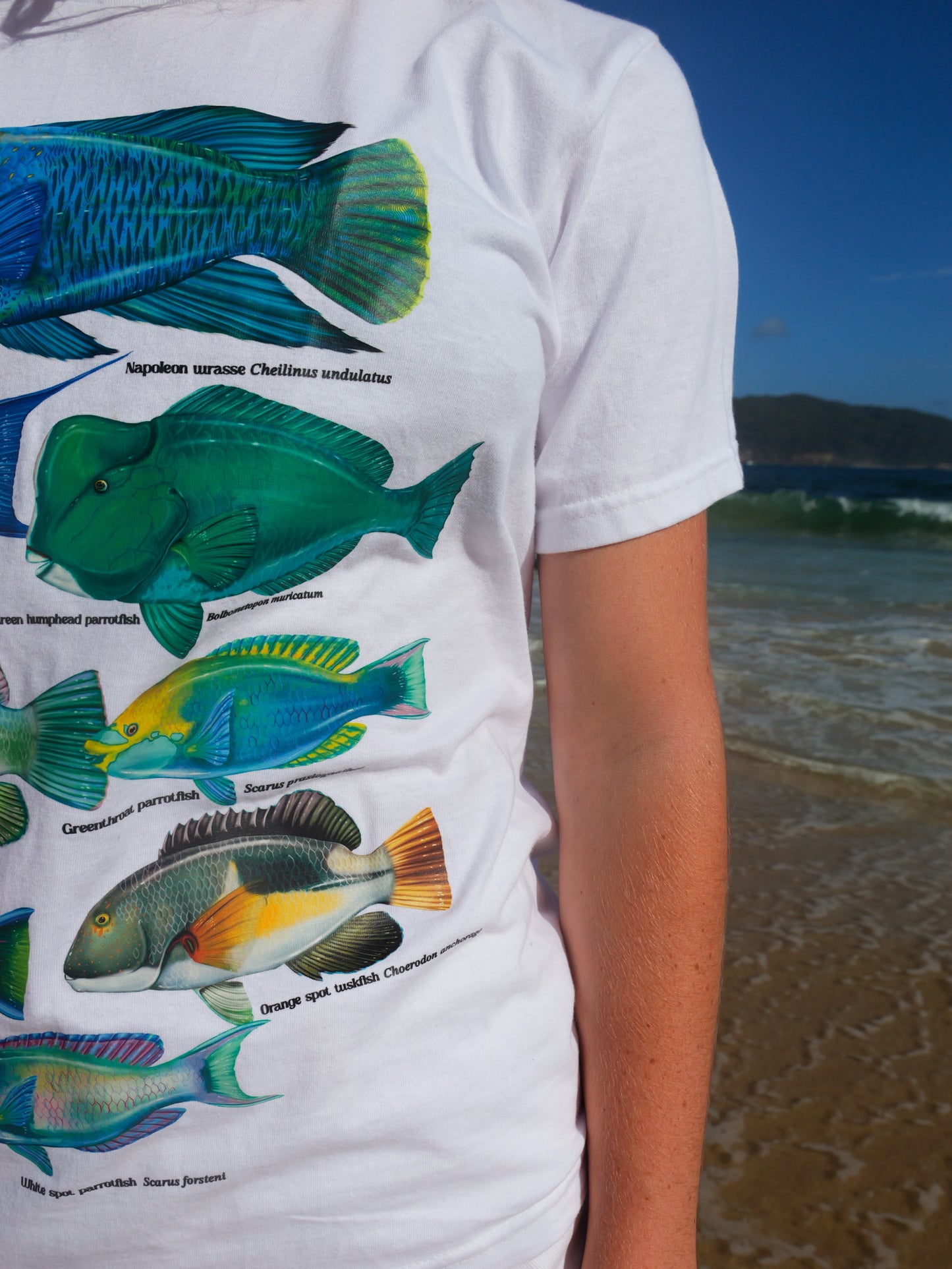 Reef Fish t-shirt full view Divermon Art ocean illustration