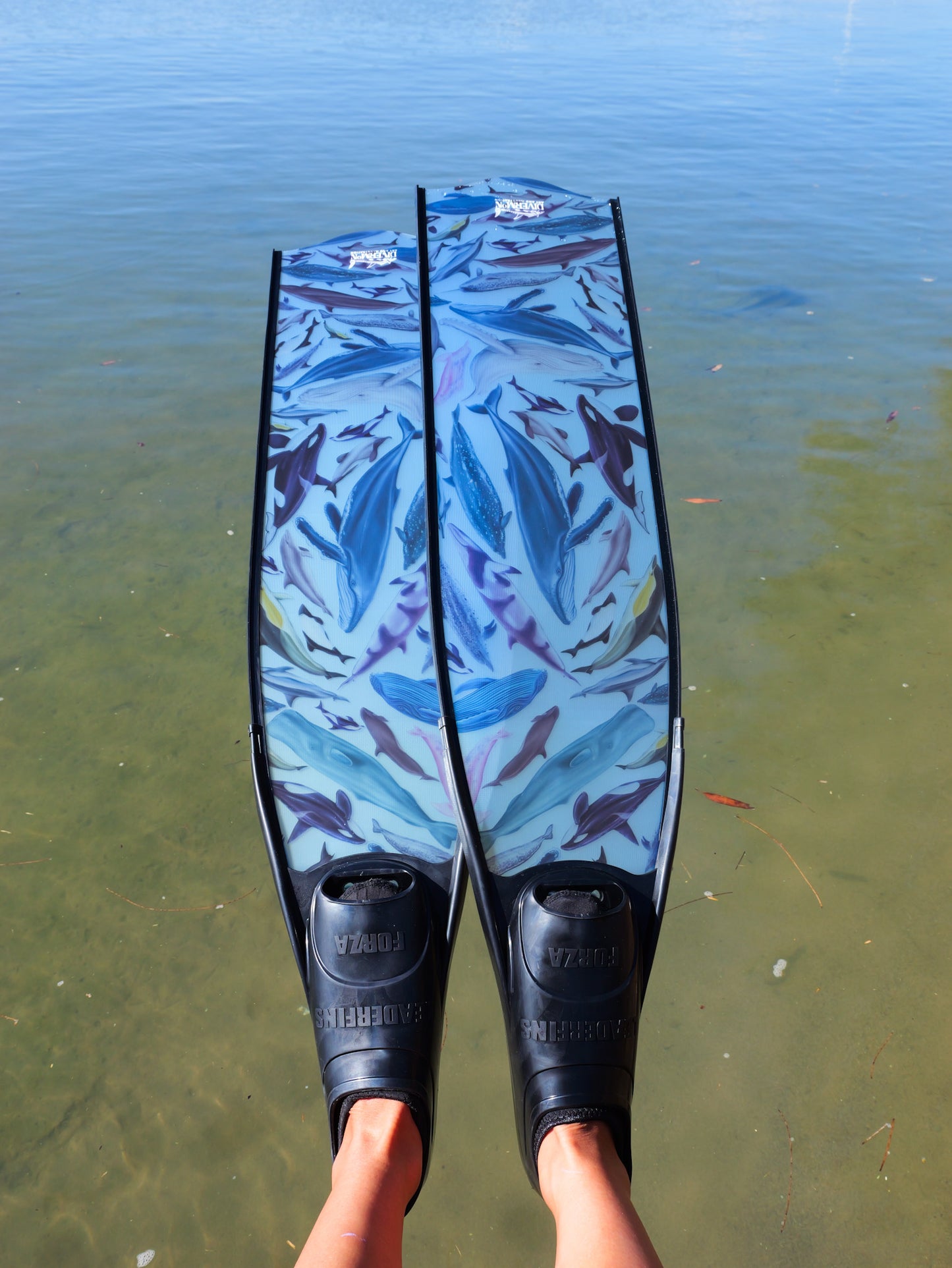 CETACEANS BLACK FREEDIVING FINS