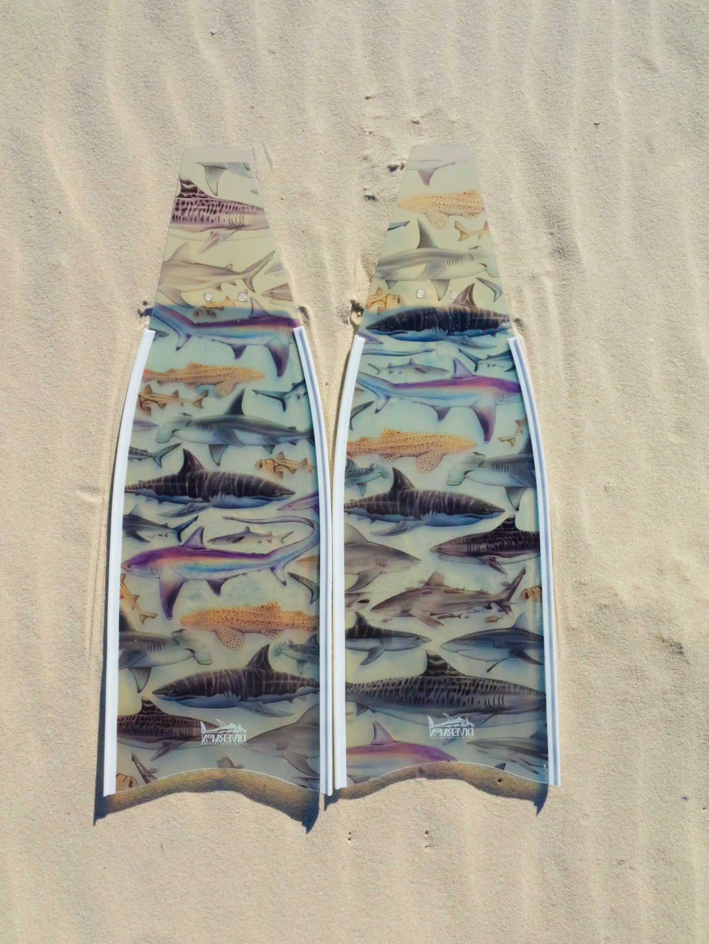SHORT FINS SHARKS WHITE