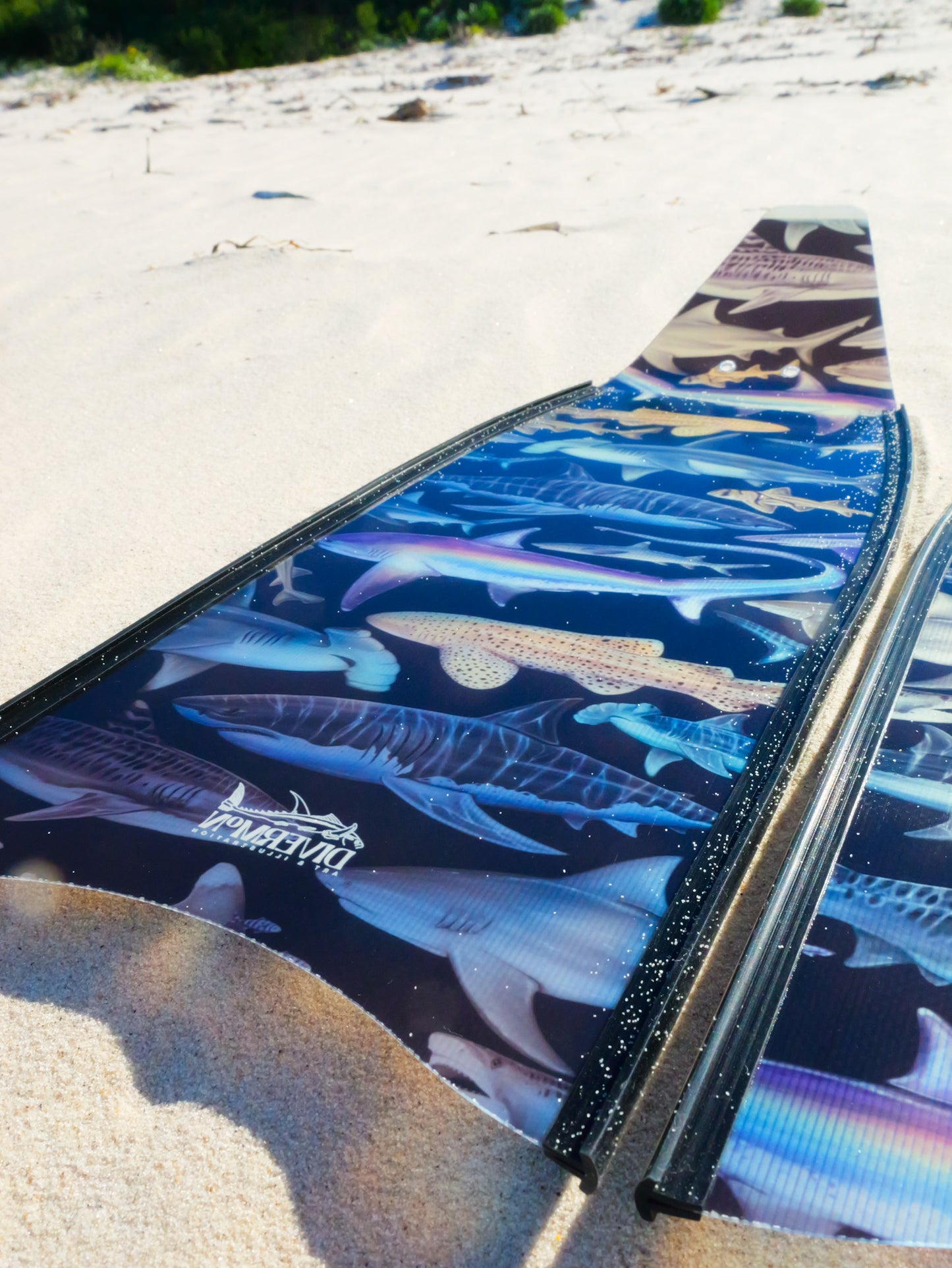 SHORT FINS SHARKS BLACK