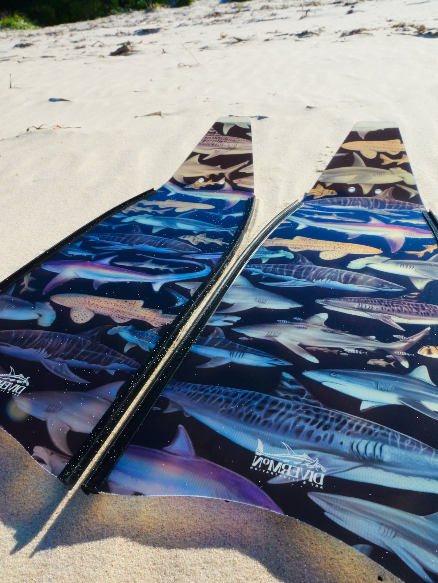 SHORT FINS SHARKS BLACK