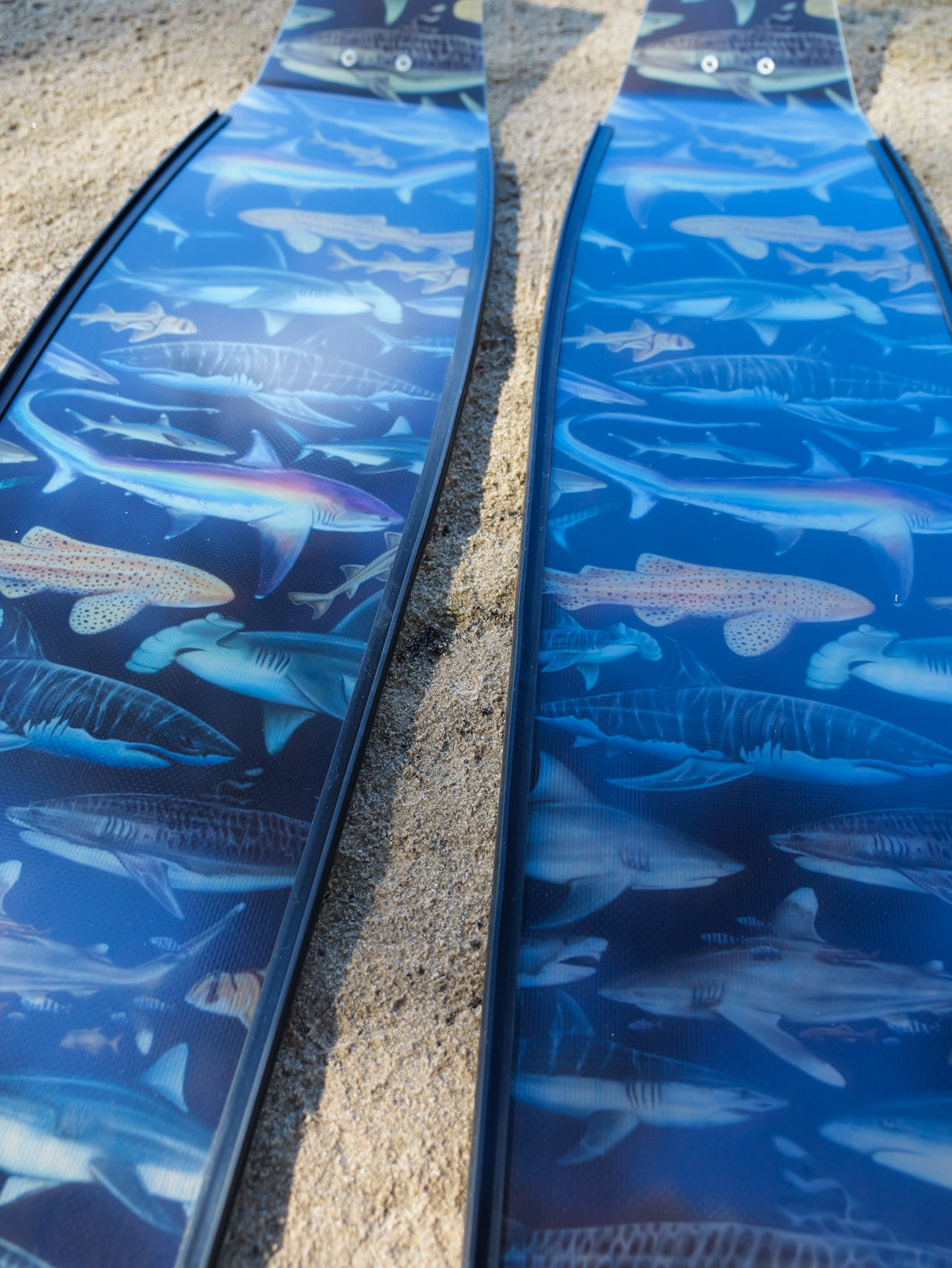 TRANSLUCENT THRESHER SHARK FREEDIVING FINS