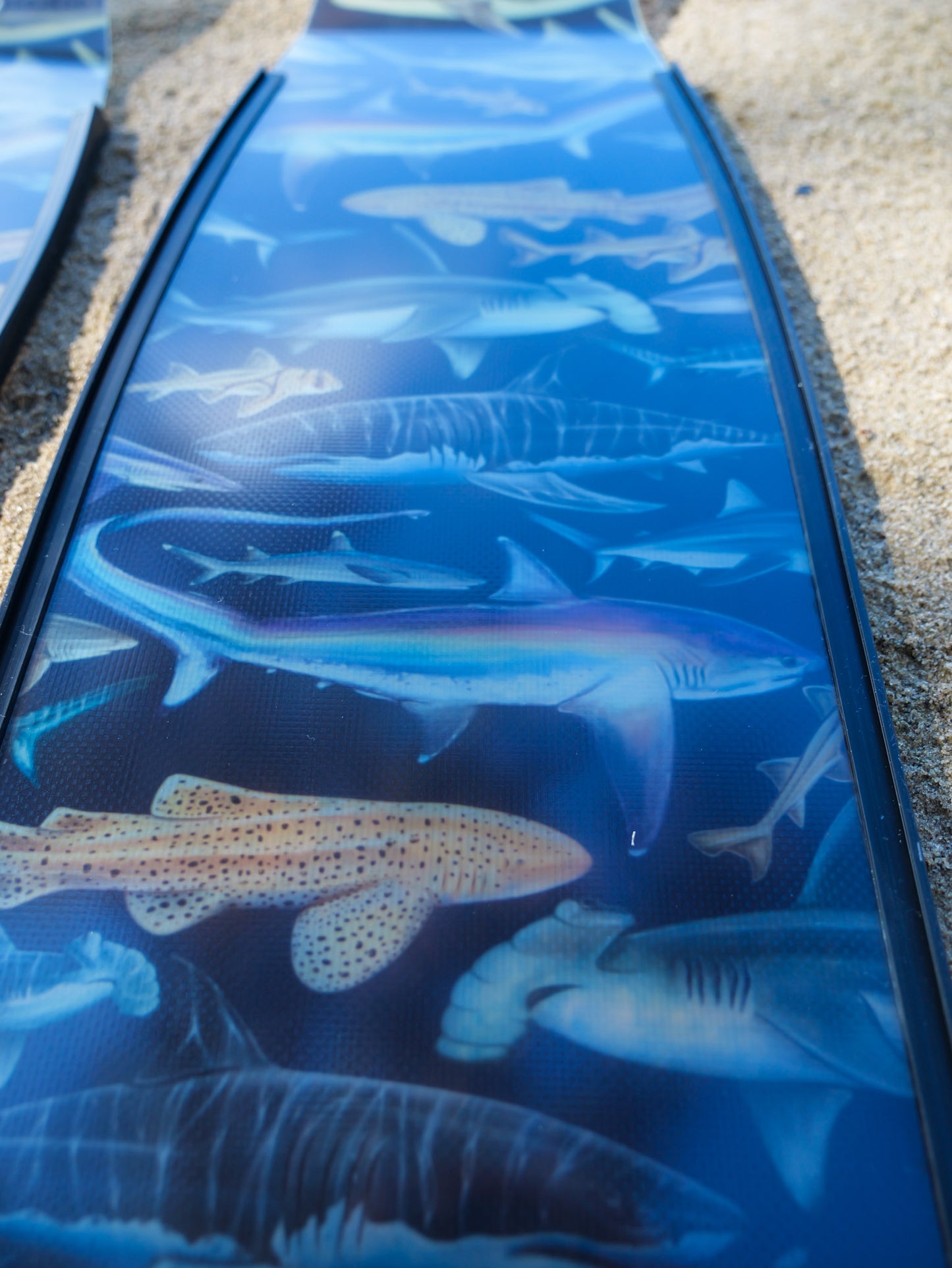 TRANSLUCENT THRESHER SHARK FREEDIVING FINS