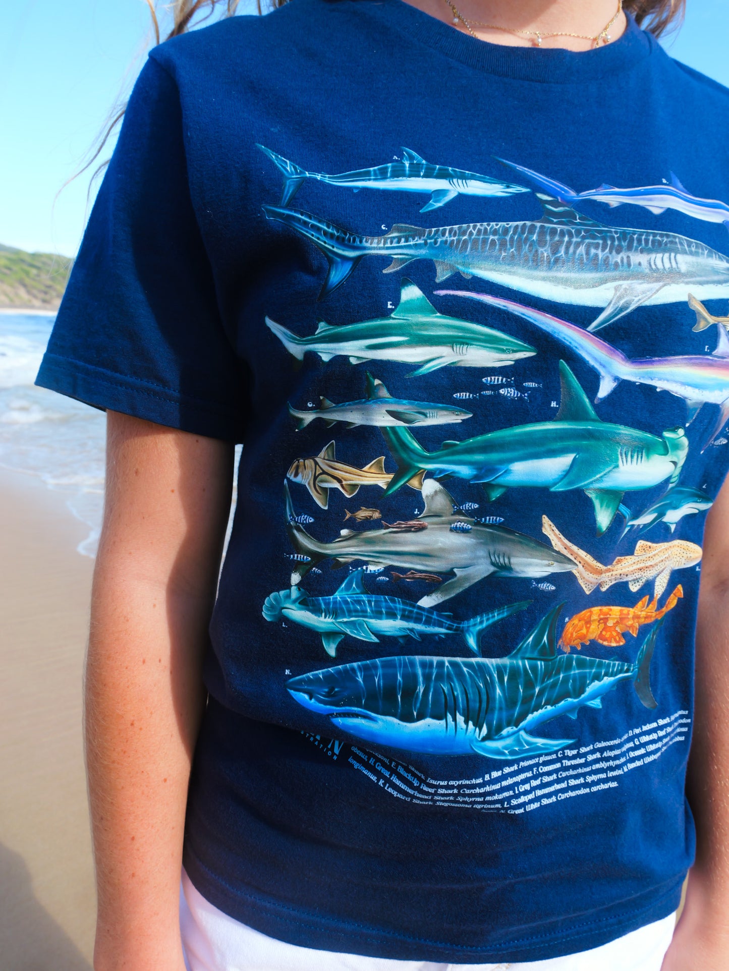 SHARKS NAVY T-SHIRT FRONT