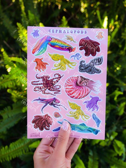 Cephalopods sticker sheet