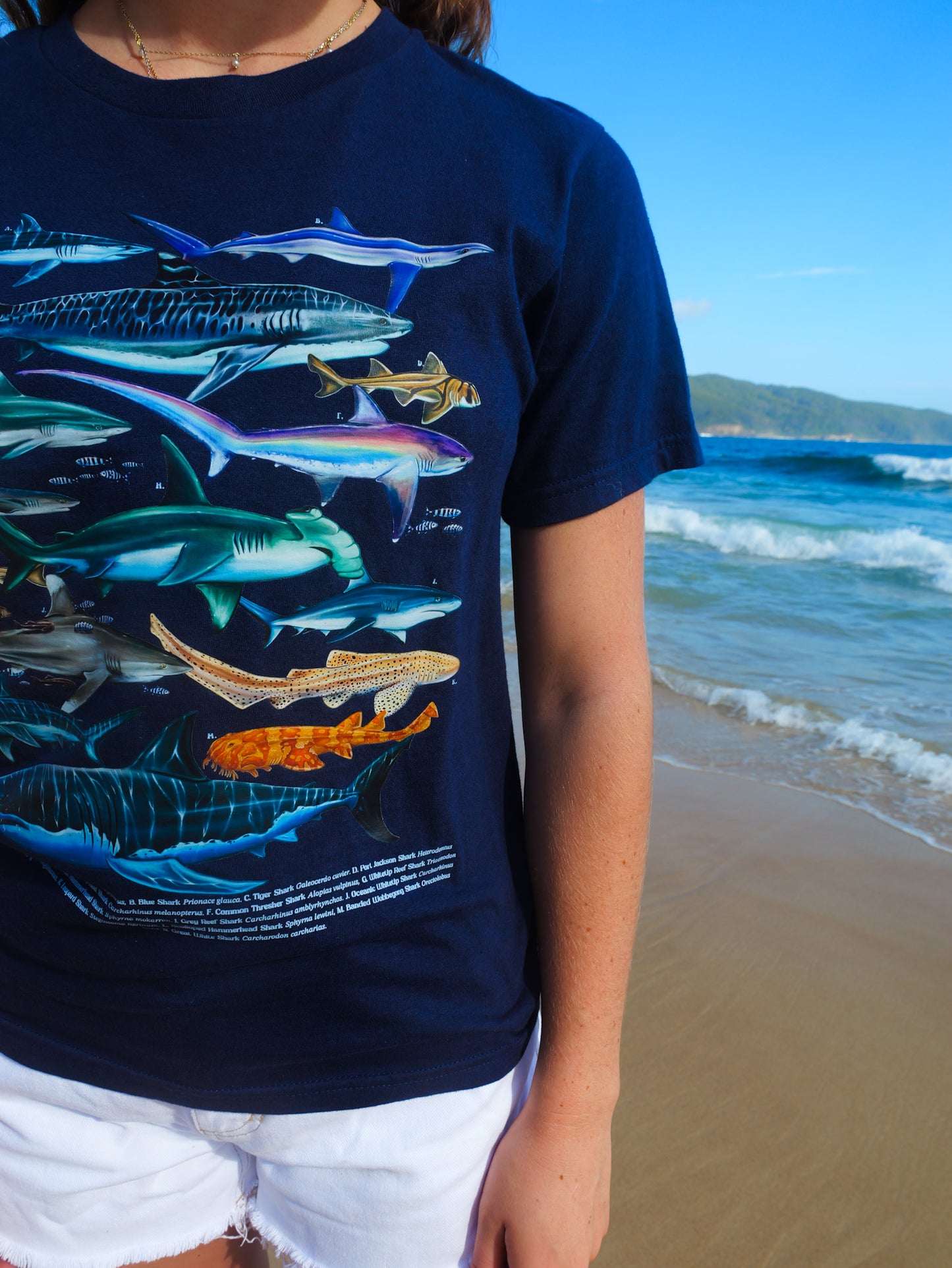 SHARKS NAVY T-SHIRT FRONT