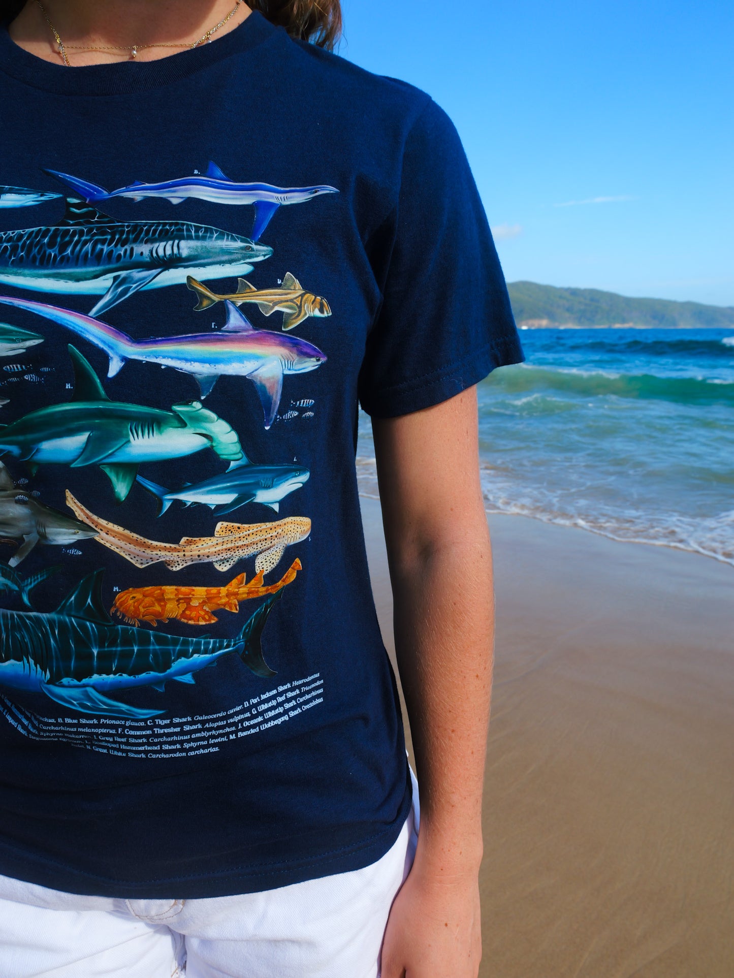 SHARKS NAVY T-SHIRT FRONT